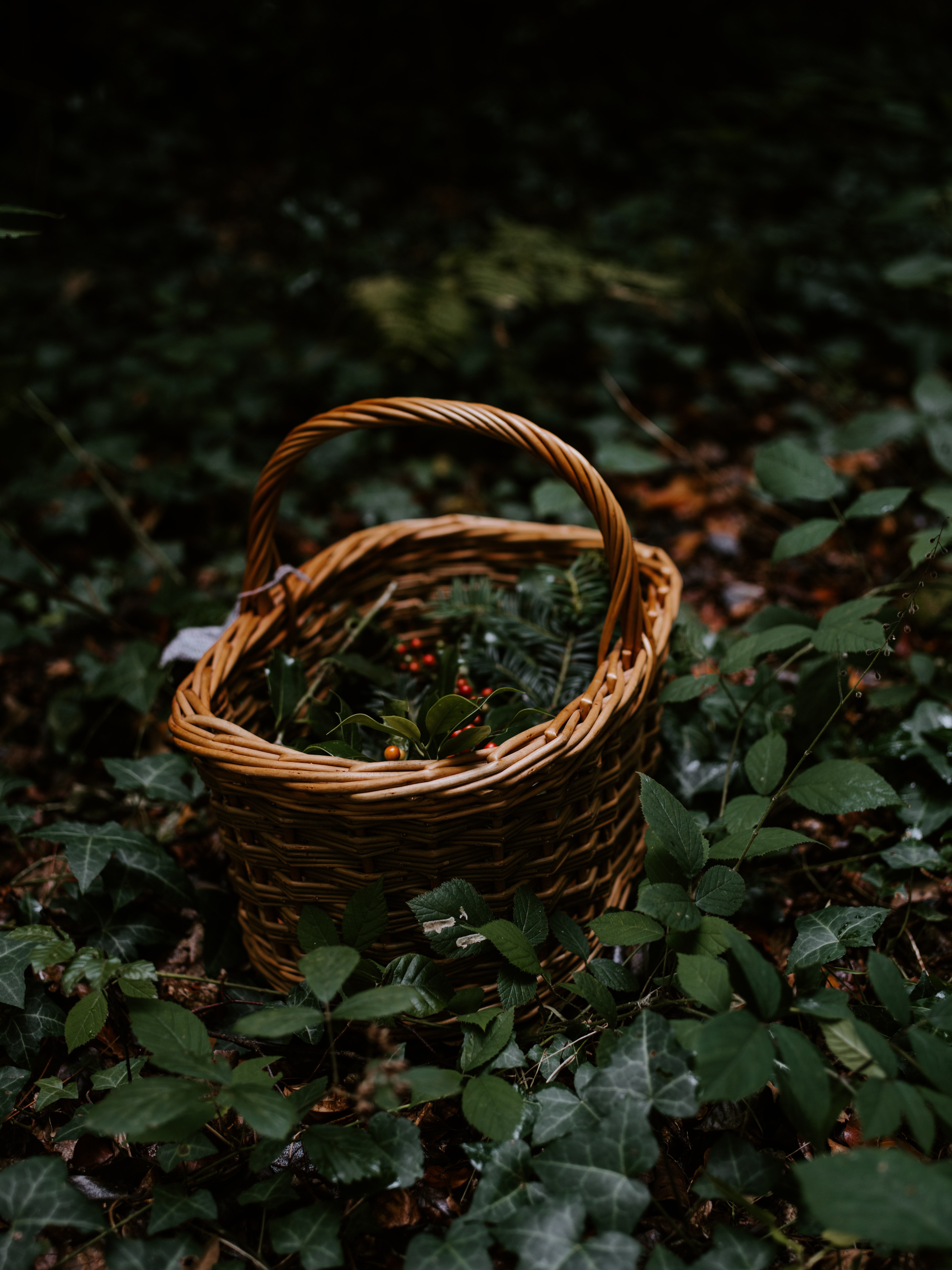 nature, berries, miscellanea, miscellaneous, branches, basket, wicker, braided