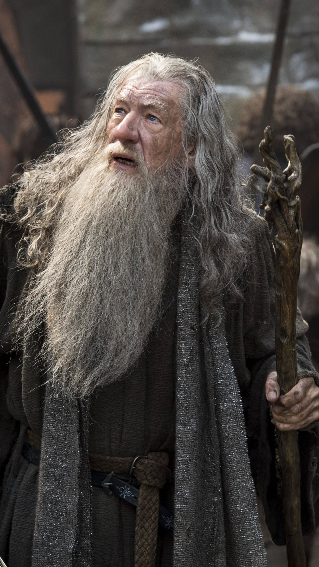 Download mobile wallpaper Movie, The Lord Of The Rings, Gandalf, The Hobbit: The Battle Of The Five Armies for free.