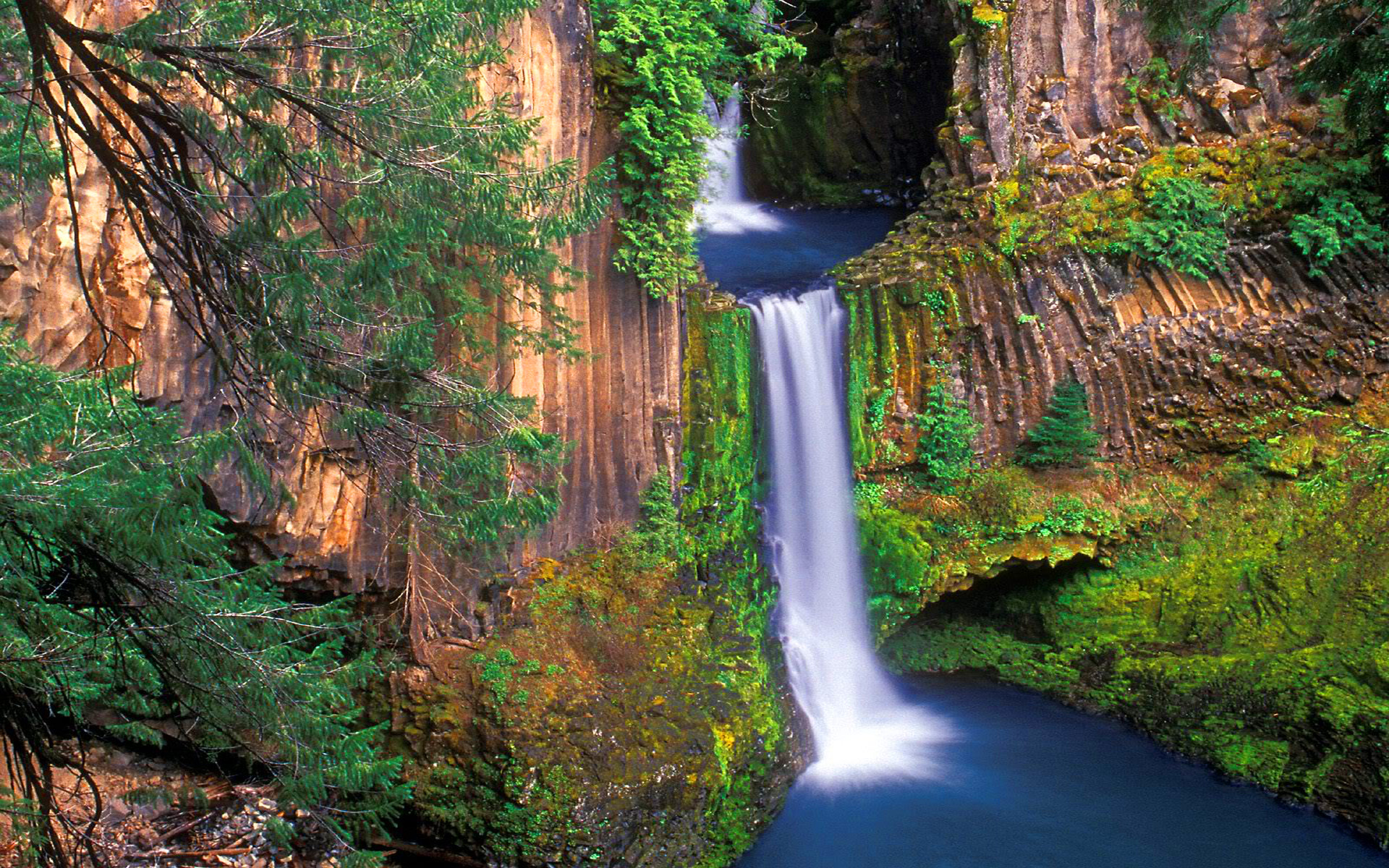Скачать картинку Водопады, Водопад, Лес, Земля/природа в телефон бесплатно.