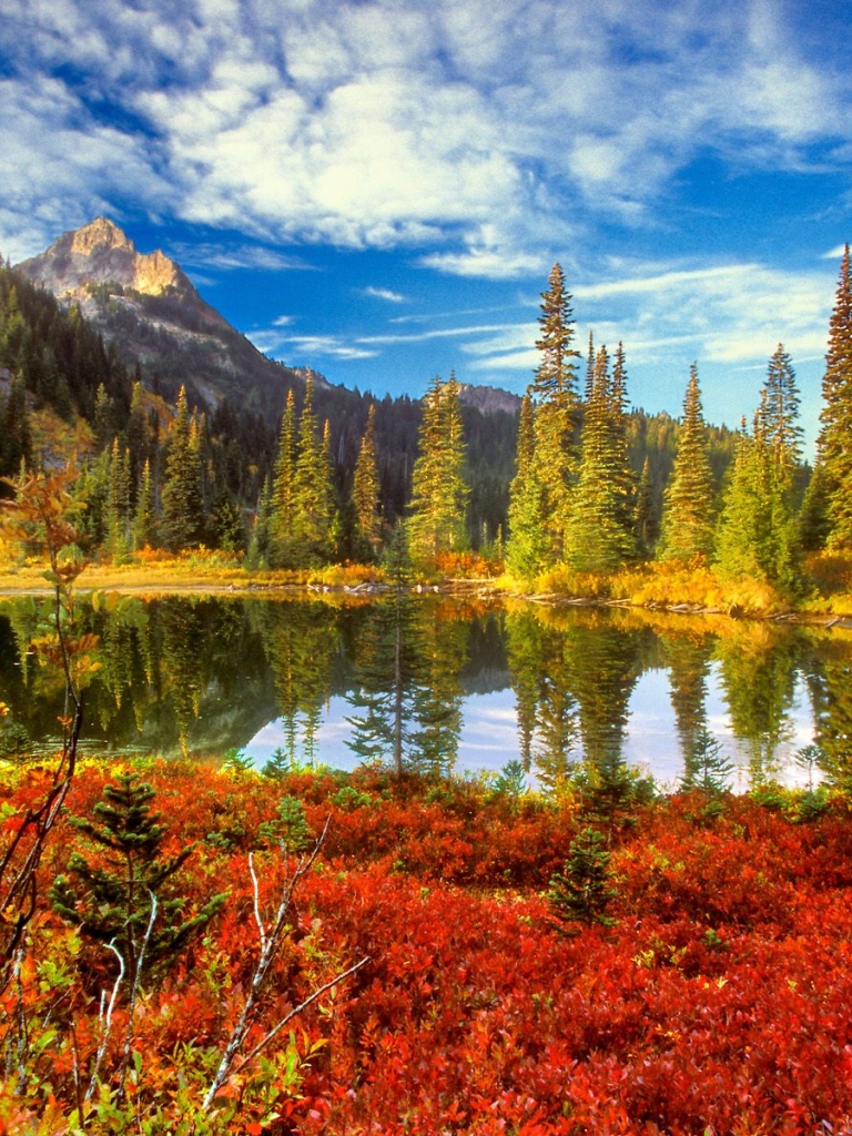 Download mobile wallpaper Landscape, Mountain, Forest, Earth, Pond for free.