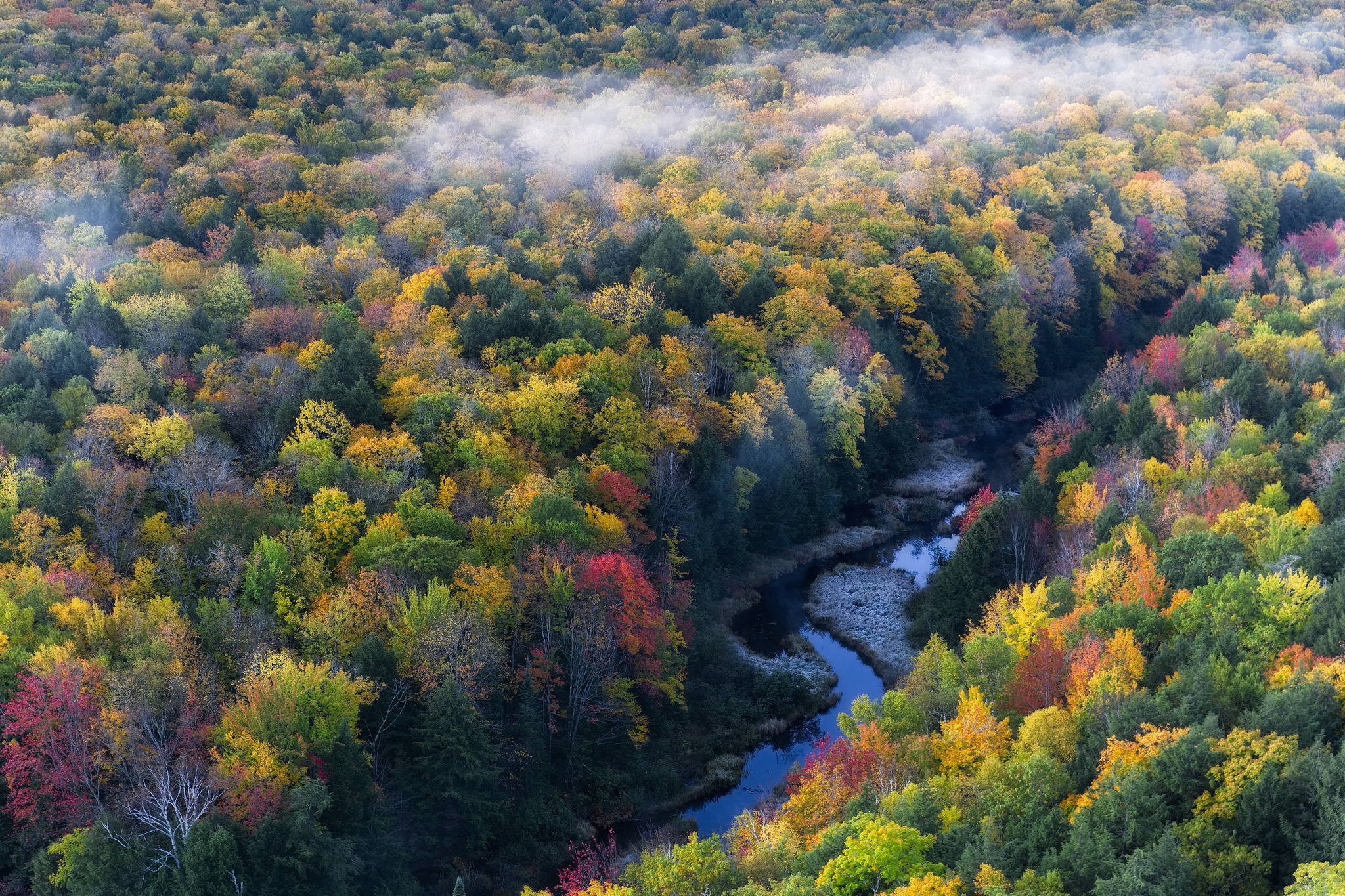 Скачать обои бесплатно Природа, Река, Осень, Лес, Земля/природа картинка на рабочий стол ПК