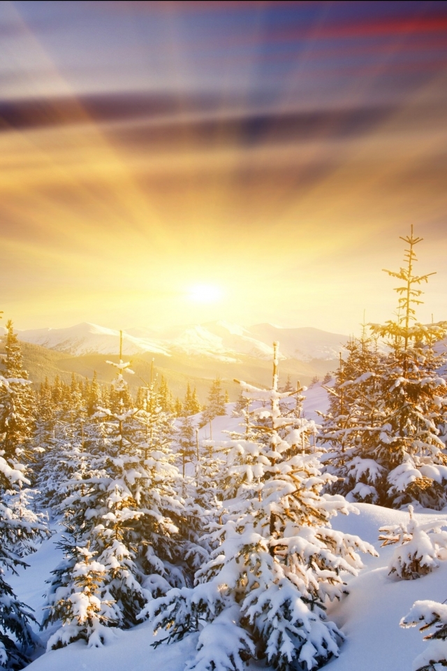 Download mobile wallpaper Winter, Earth for free.