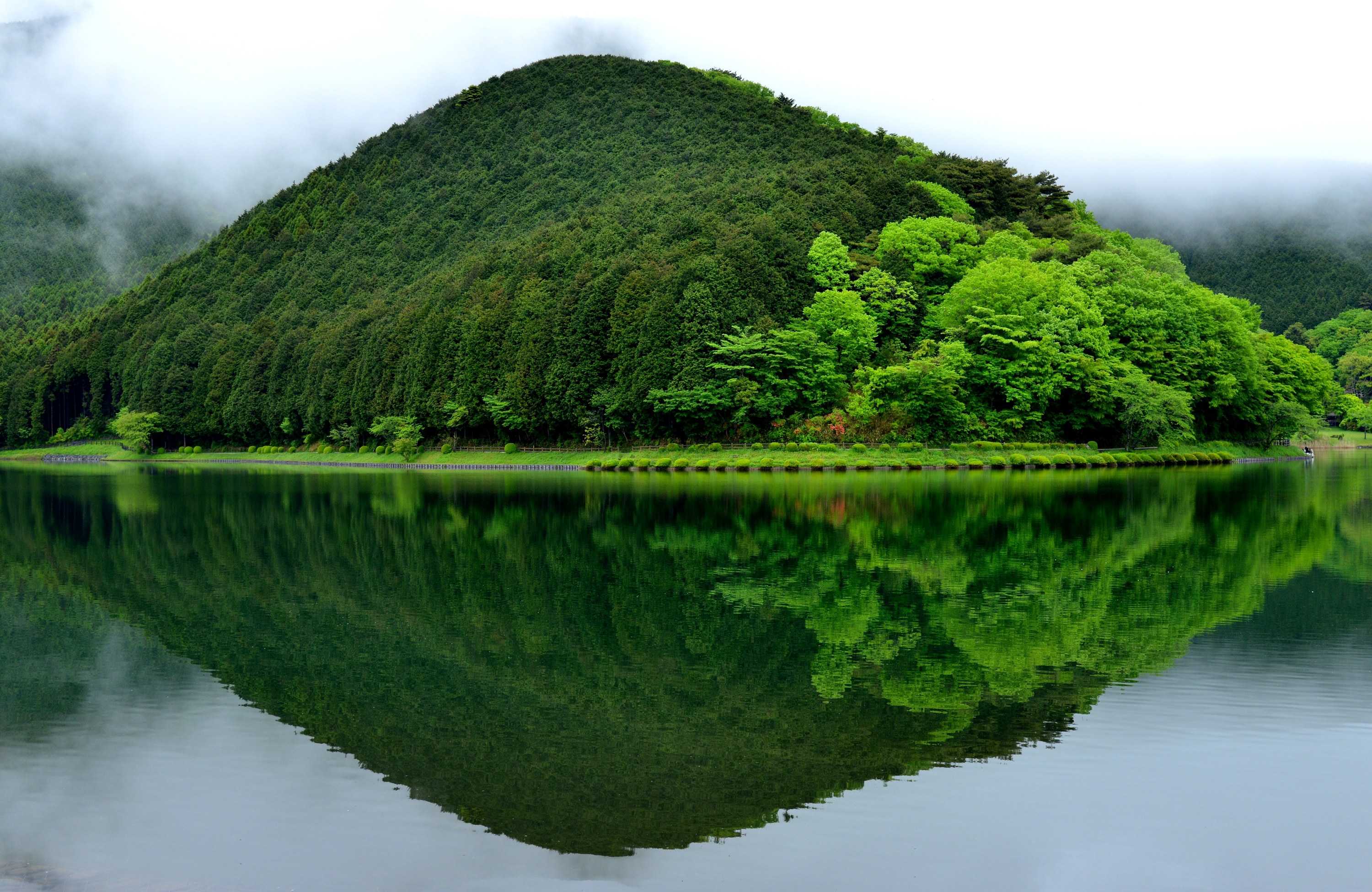 PCデスクトップに自然, 反射, 森, 霧, 地球, 丘画像を無料でダウンロード