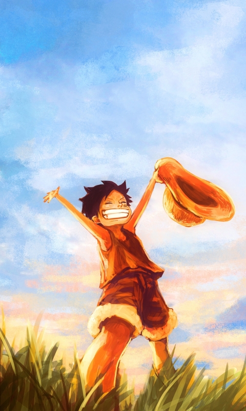 Download mobile wallpaper Monkey D Luffy, One Piece, Anime for free.