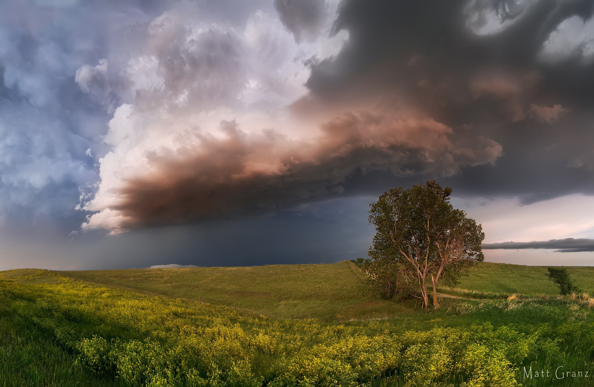 Download mobile wallpaper Tree, Earth, Field, Storm for free.