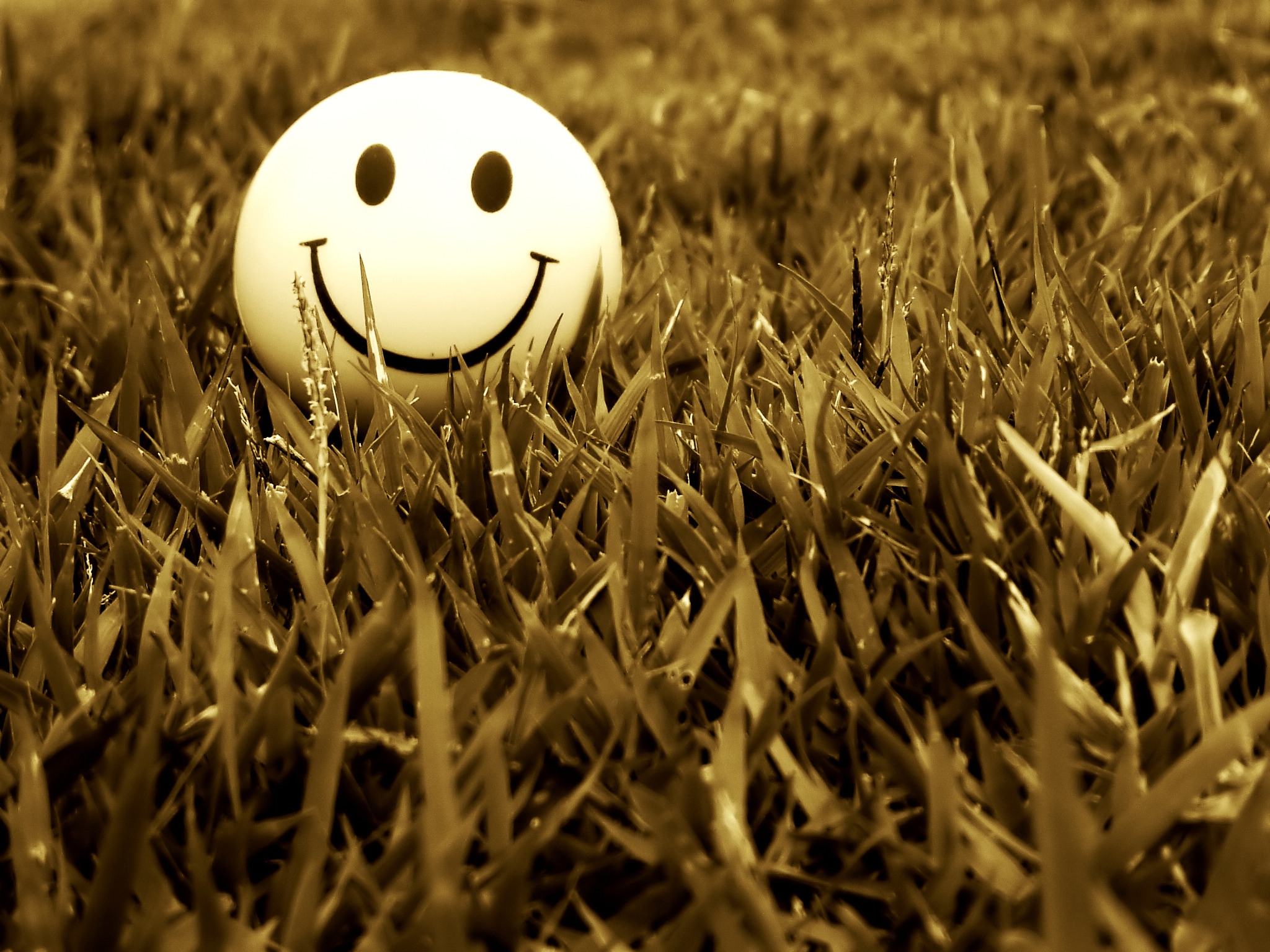 smile, grass, miscellanea, miscellaneous, mood HD wallpaper