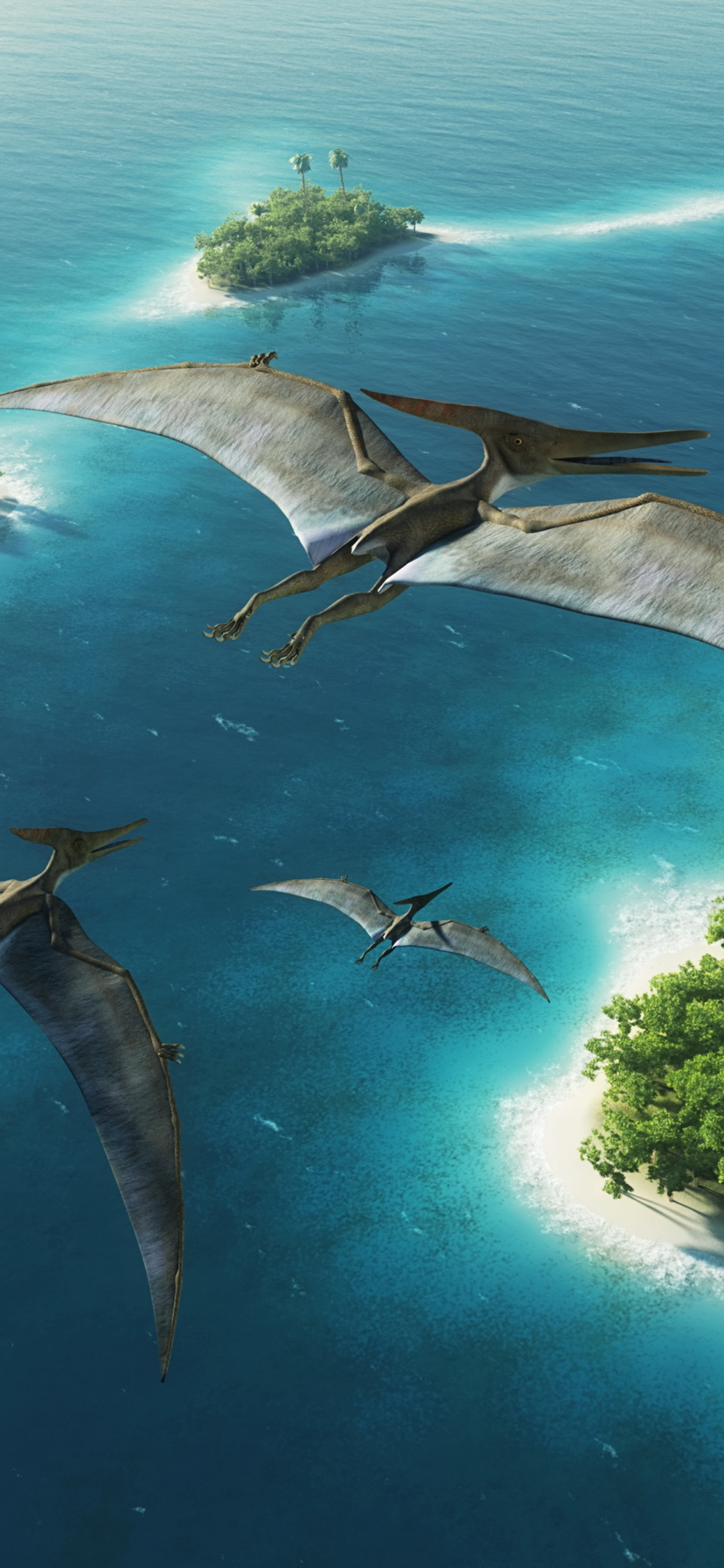Baixar papel de parede para celular de Animais, Dinossauros, Dinossauro, Pteranodonte gratuito.