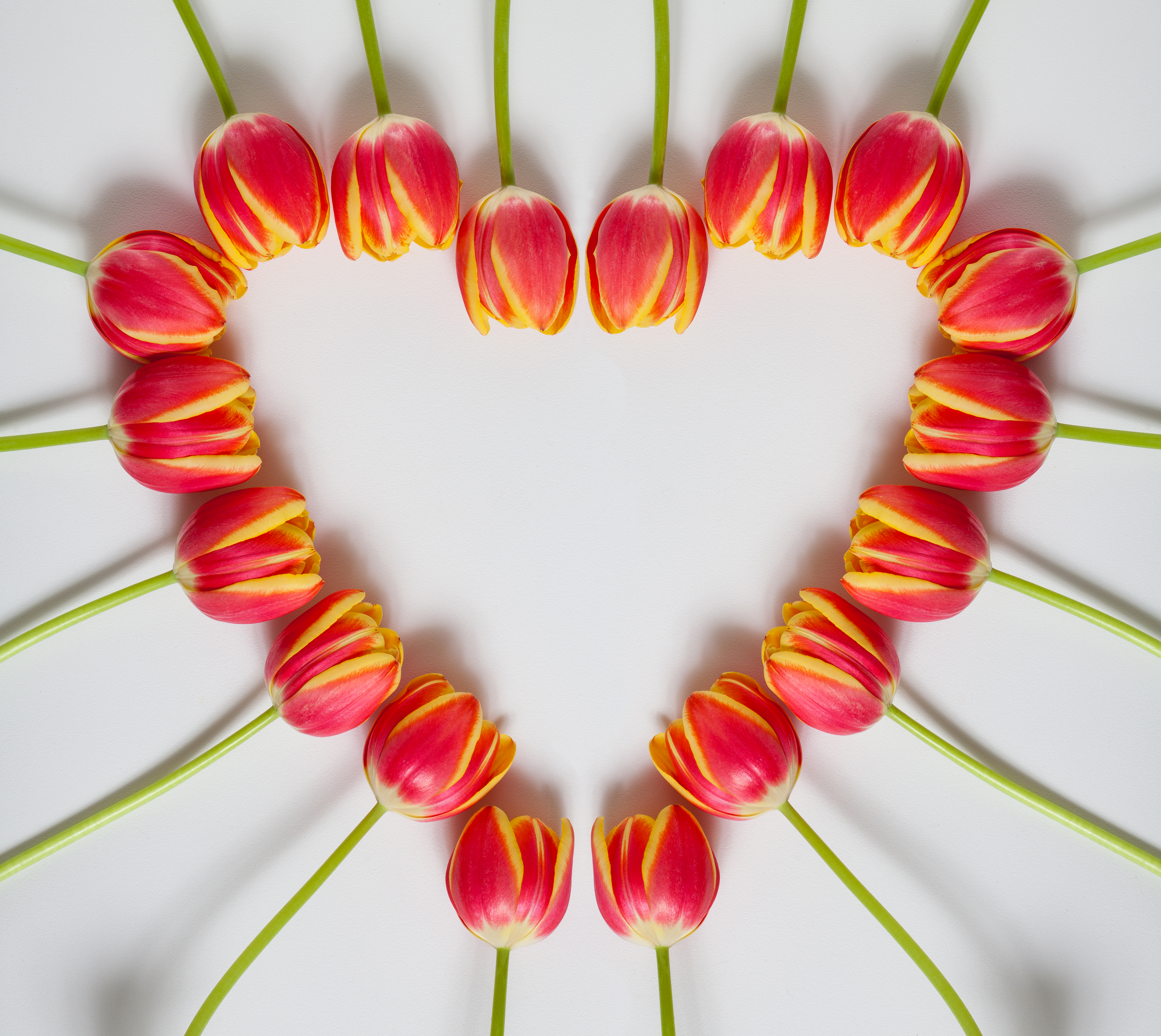 PCデスクトップに自然, チューリップ, 花, 愛する, バレンタイン・デー, 心臓, ホリデー画像を無料でダウンロード