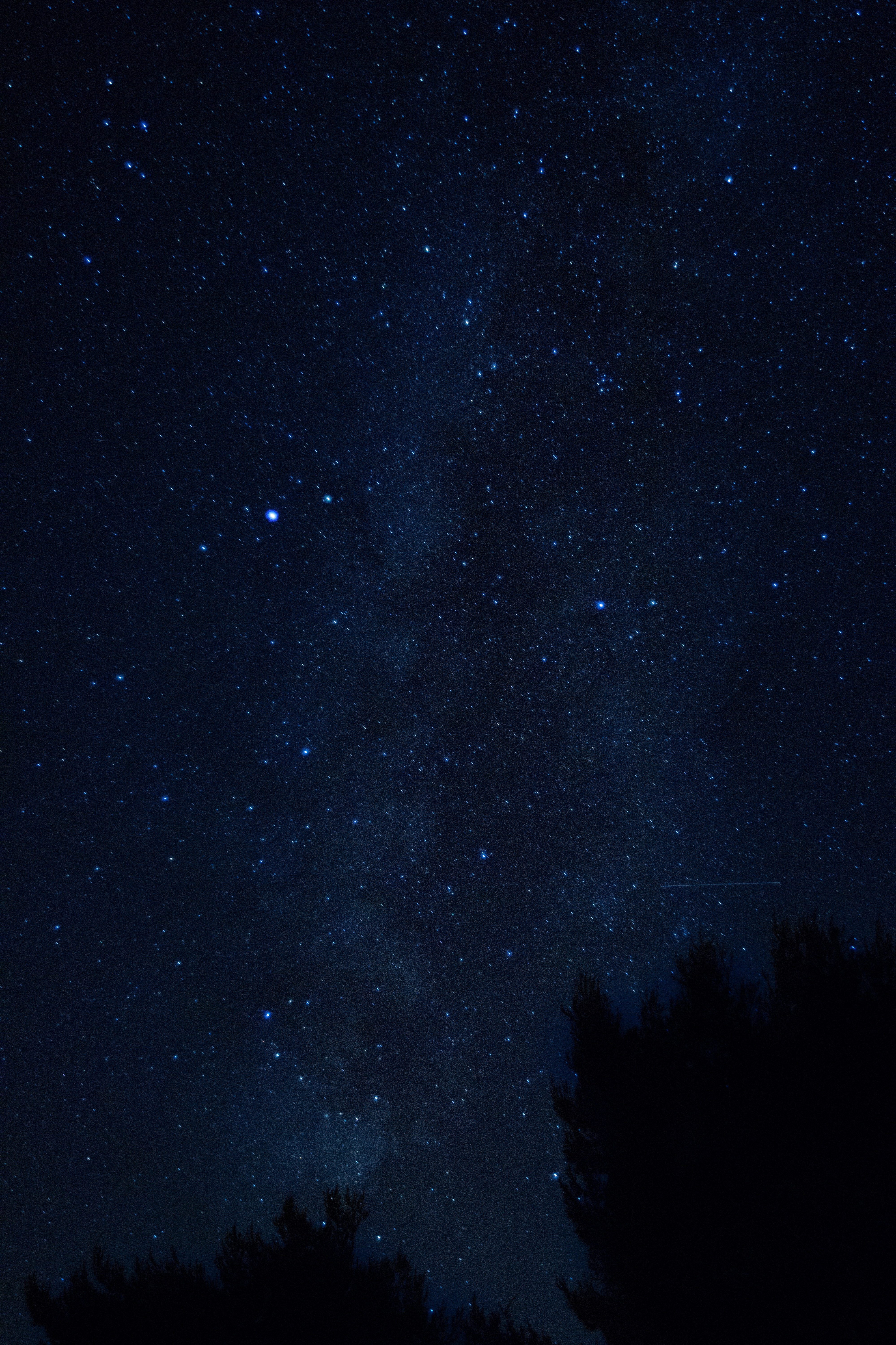 Free download wallpaper Nature, Trees, Night, Croatia, Starry Sky on your PC desktop