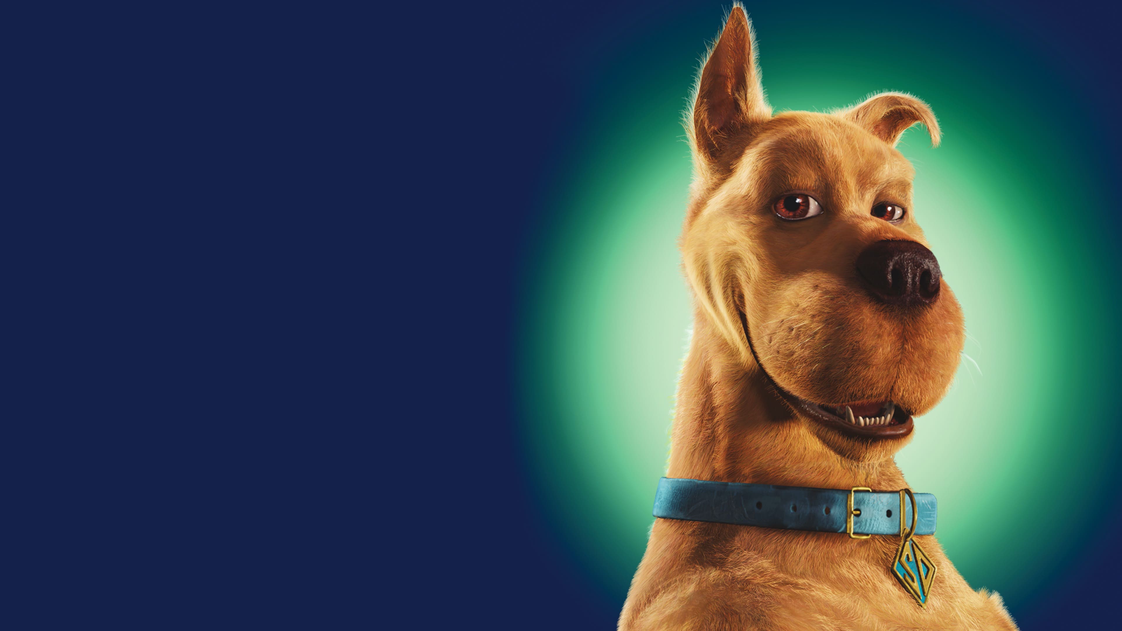 Free download wallpaper Movie, Scooby Doo on your PC desktop