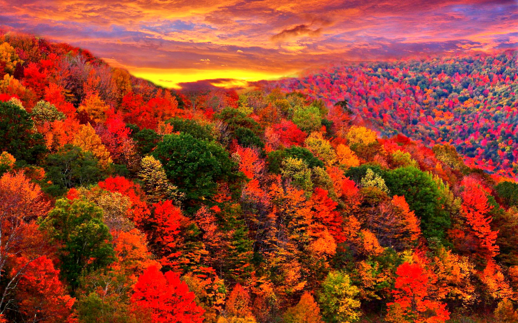 Free download wallpaper Mountain, Forest, Tree, Fall, Earth, Colors, Colorful on your PC desktop