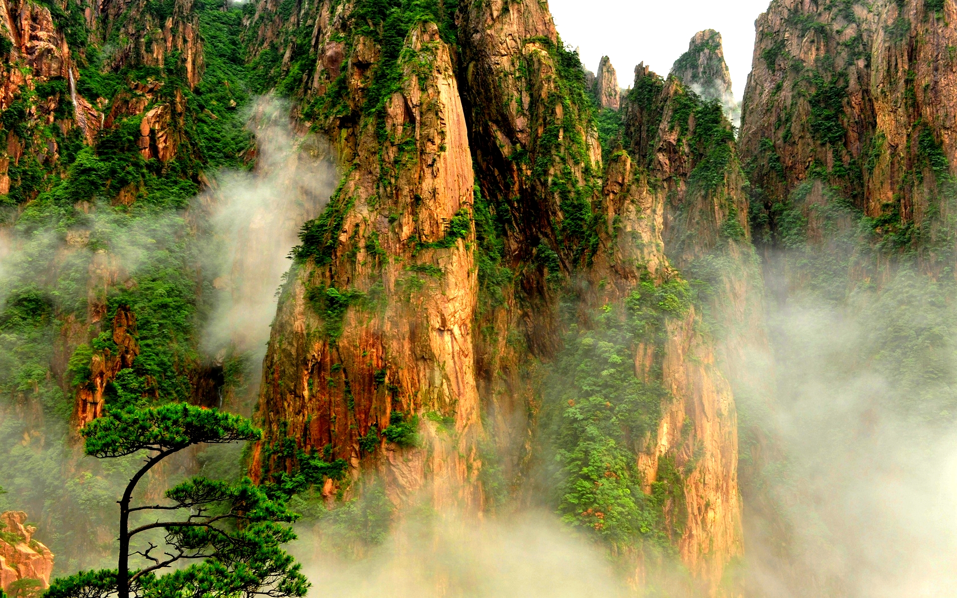 Descarga gratuita de fondo de pantalla para móvil de Montañas, Montaña, Árbol, Niebla, Acantilado, Tierra/naturaleza.