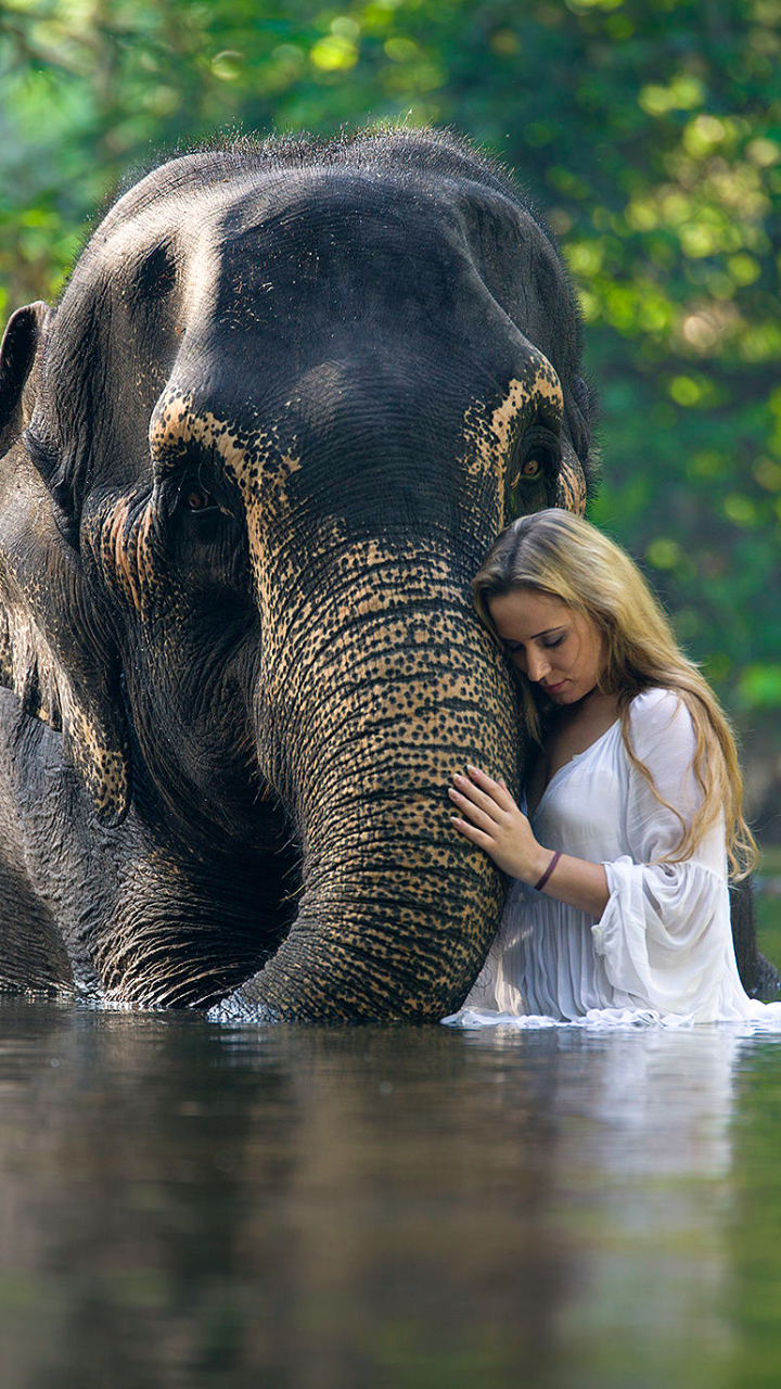 Download mobile wallpaper Mood, Bokeh, Blonde, Elephant, Women for free.