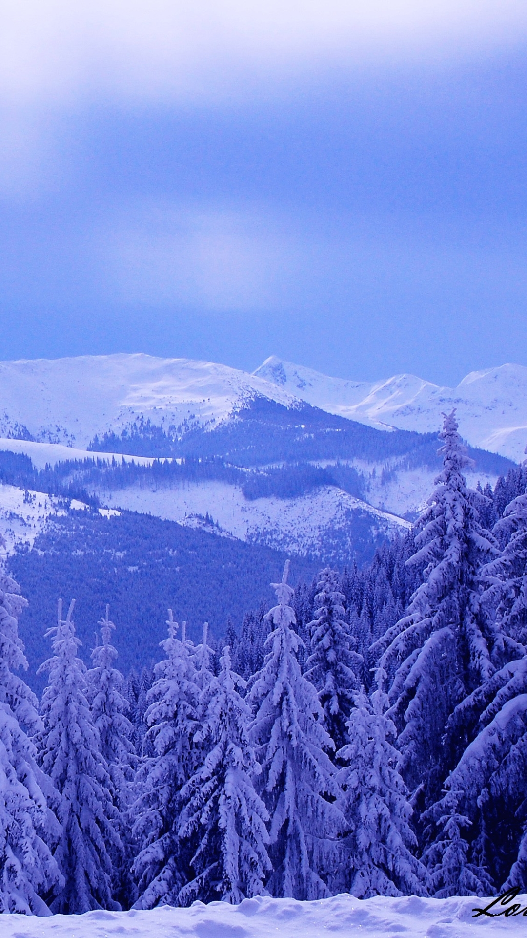 無料モバイル壁紙風景, 冬, 自然, 木, 雪, 山, 森, 地球をダウンロードします。