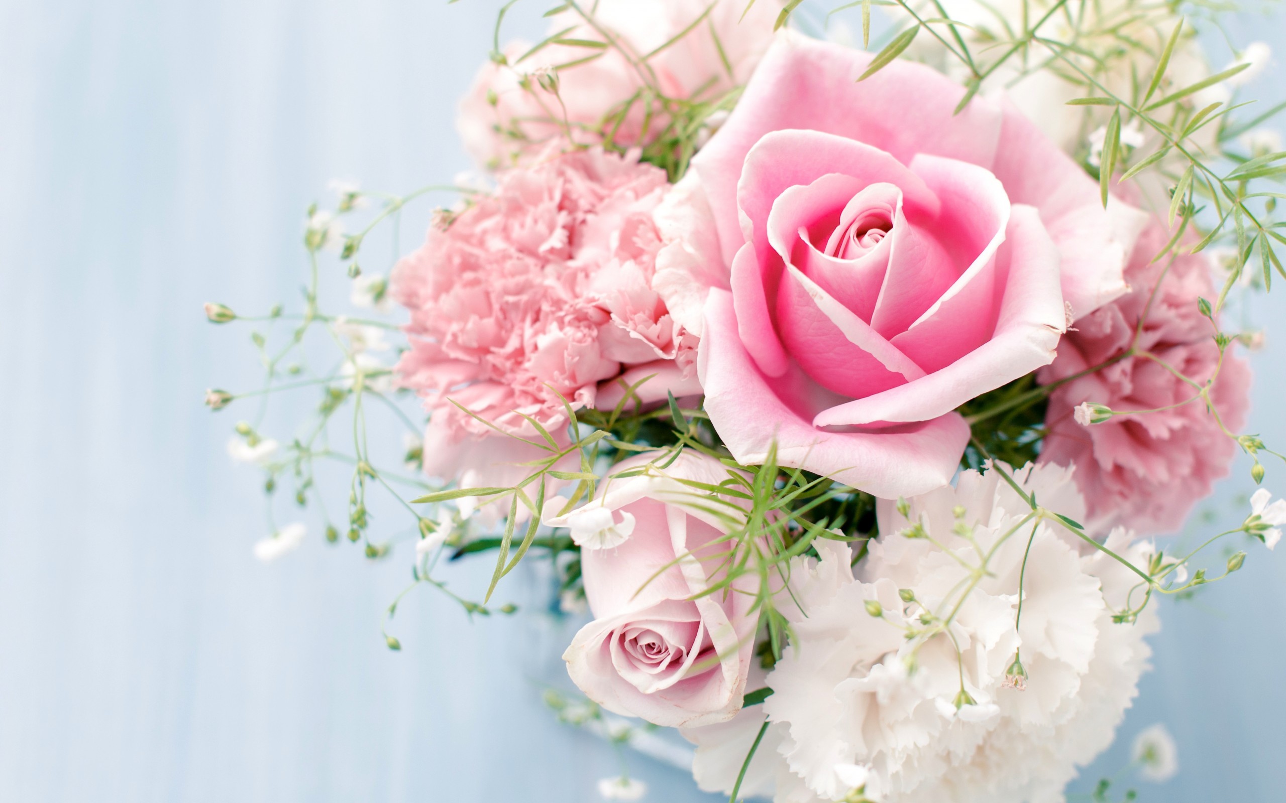 38875 descargar imagen plantas, flores, roses, bouquets: fondos de pantalla y protectores de pantalla gratis