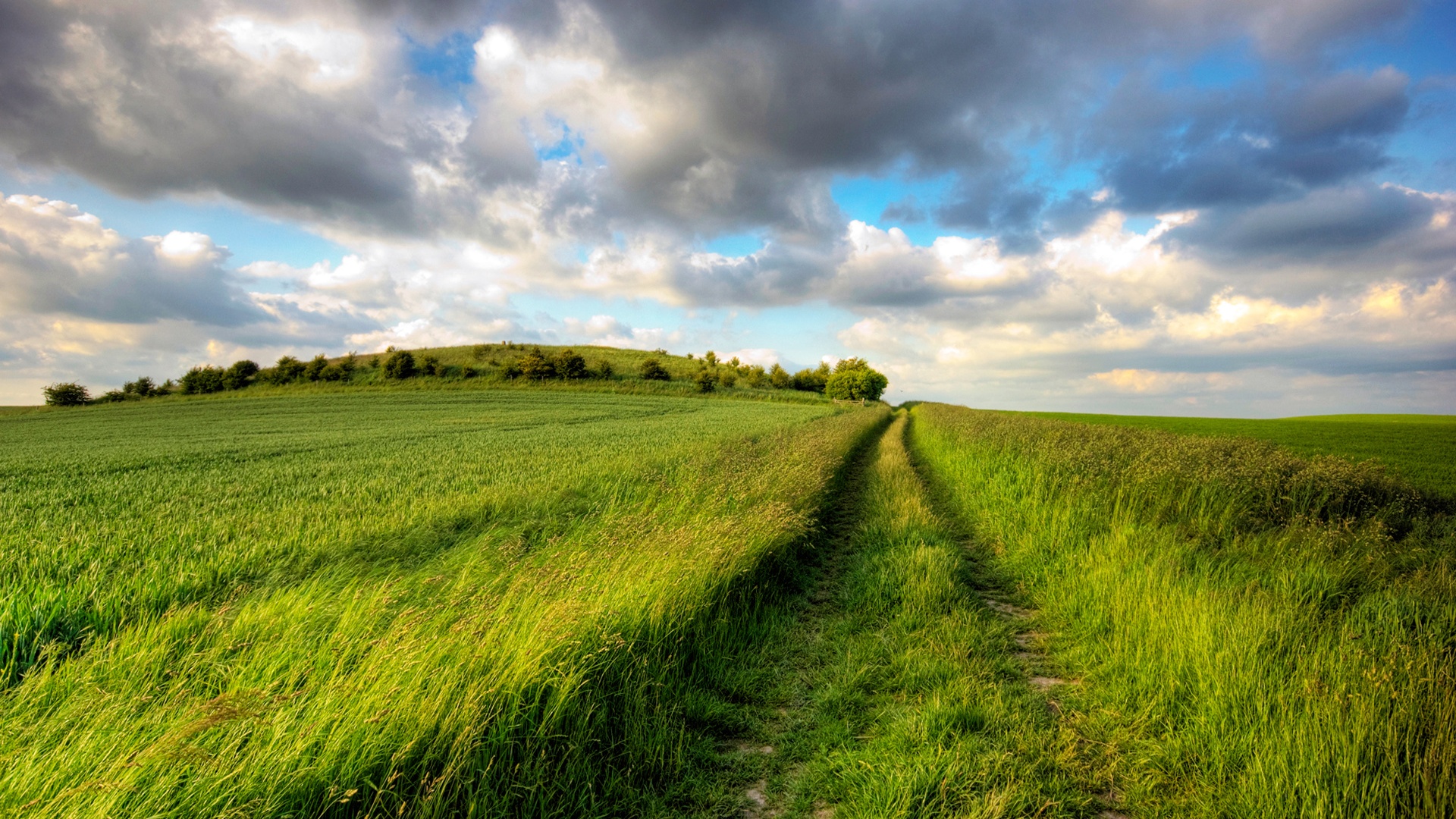 Descarga gratis la imagen Campo, Tierra/naturaleza en el escritorio de tu PC