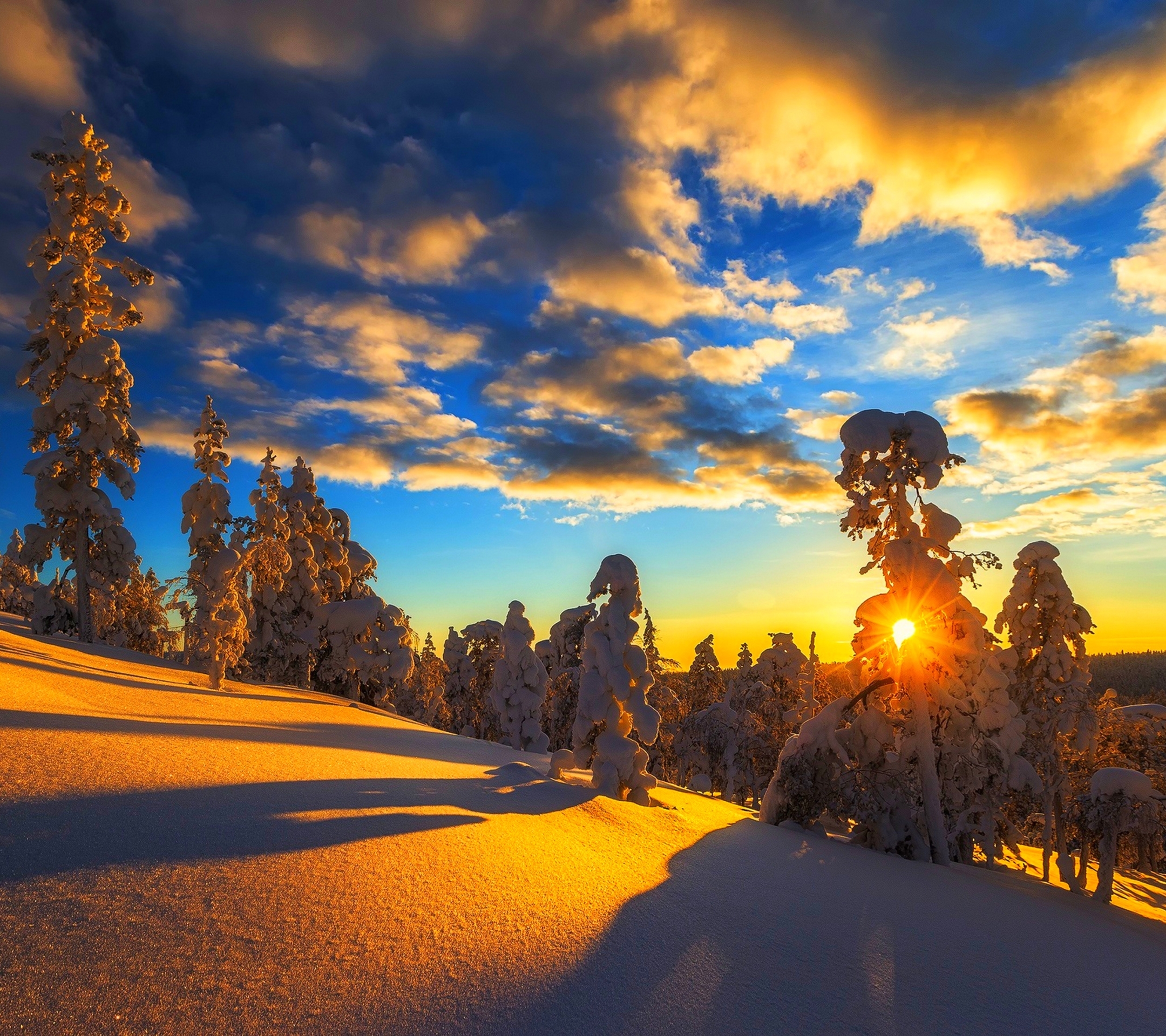 Baixe gratuitamente a imagem Inverno, Sol, Neve, Árvore, Terra/natureza na área de trabalho do seu PC