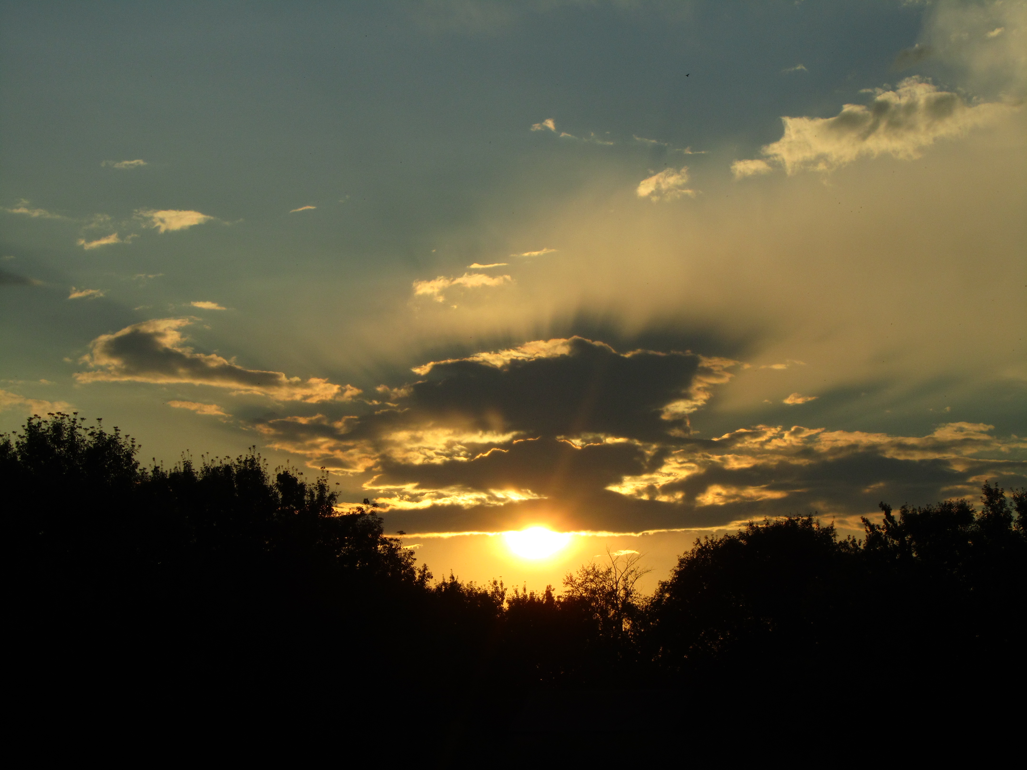 Téléchargez des papiers peints mobile Coucher De Soleil, Terre/nature gratuitement.