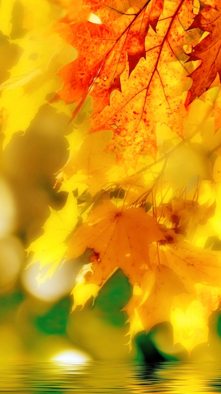 Download mobile wallpaper Nature, Leaf, Fall, Earth, Bokeh for free.