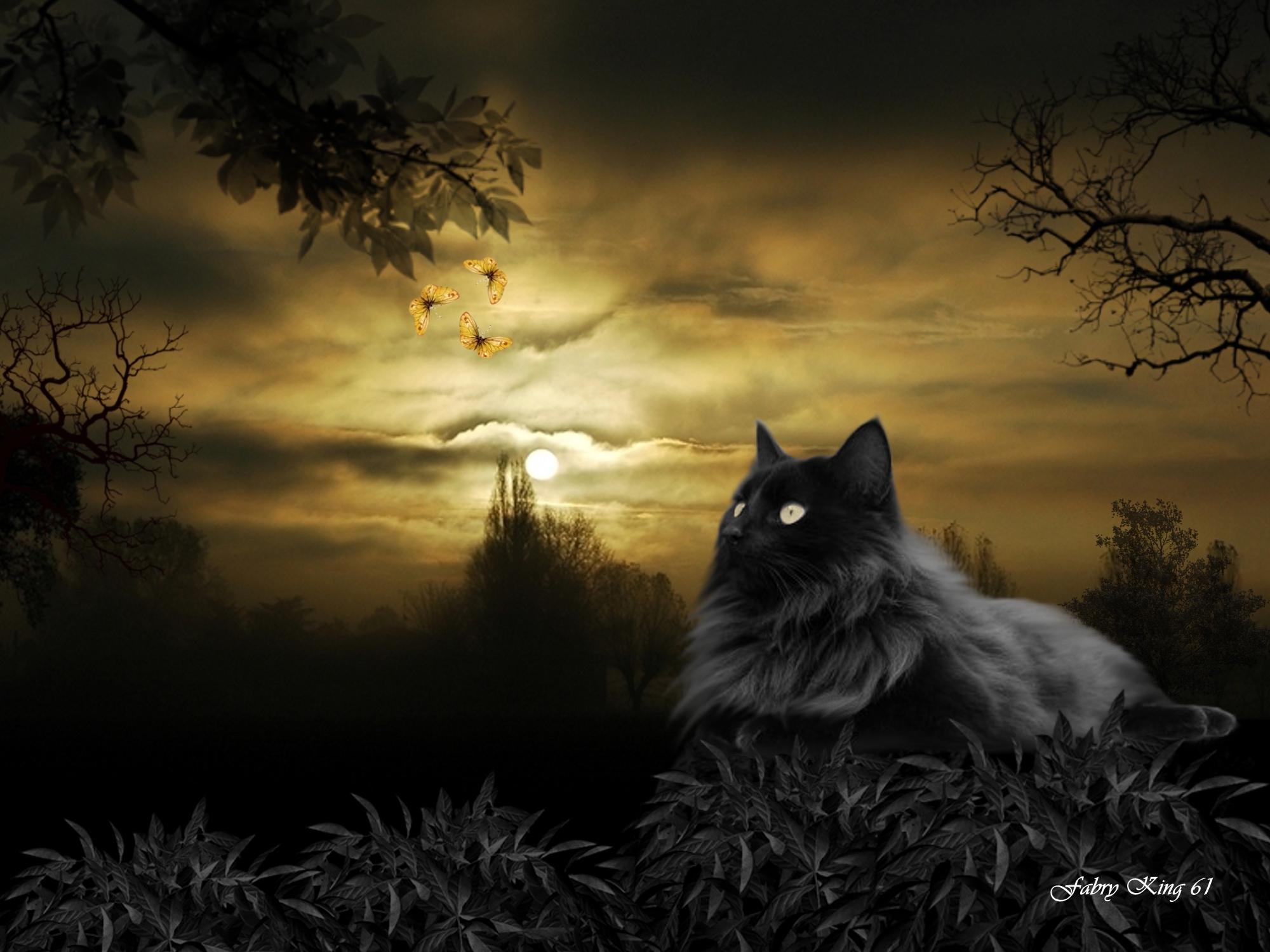 Download mobile wallpaper Fantasy, Moon, Cat, Tree, Butterfly, Artistic for free.