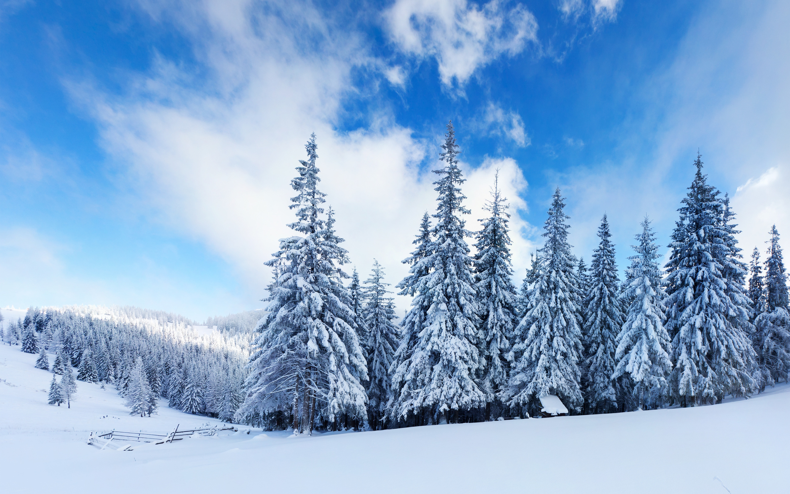 Baixe gratuitamente a imagem Inverno, Terra/natureza na área de trabalho do seu PC