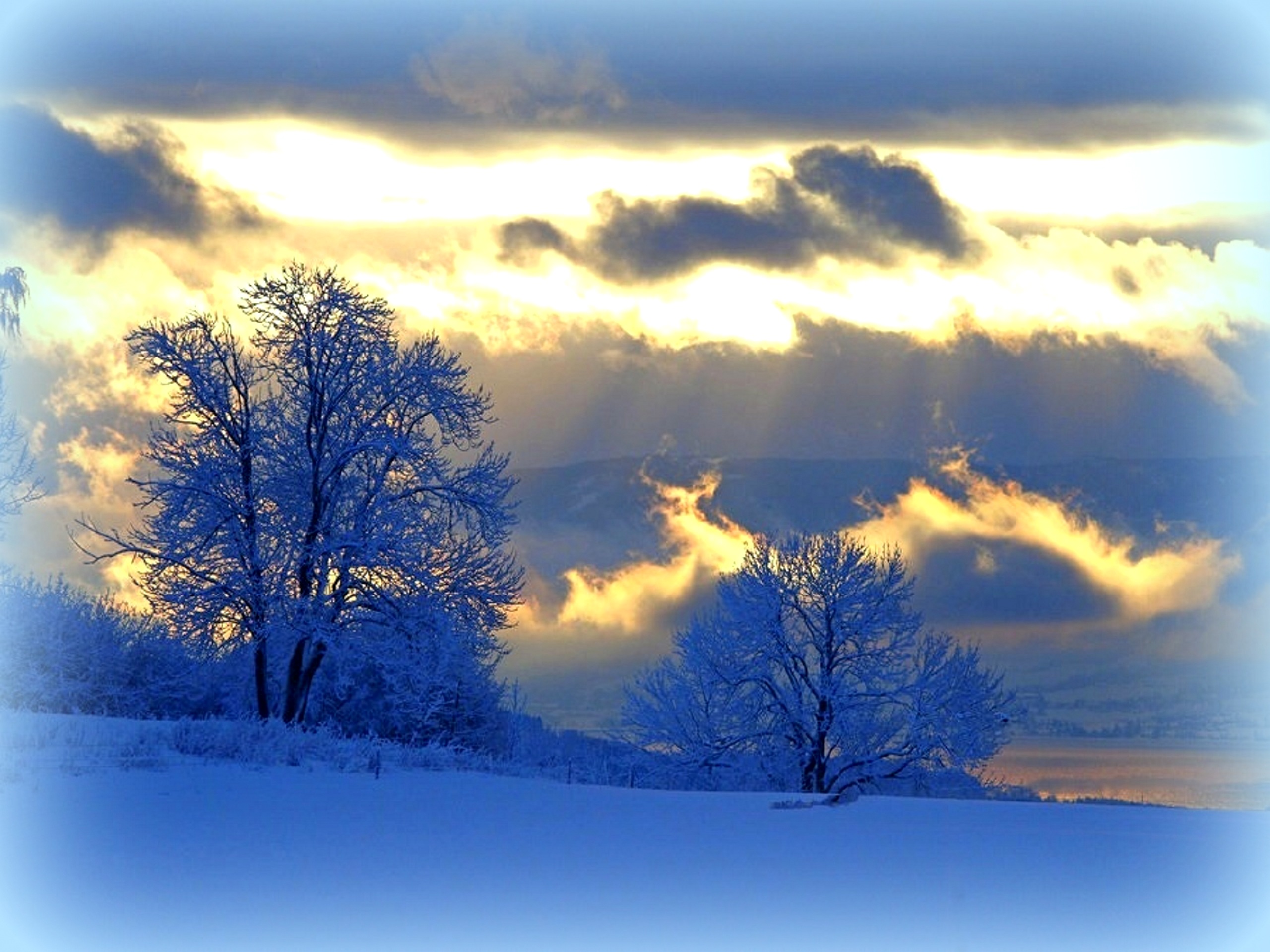 Скачать картинку Зима, Снег, Дерево, Земля, Облако, Земля/природа, Закат Солнца в телефон бесплатно.