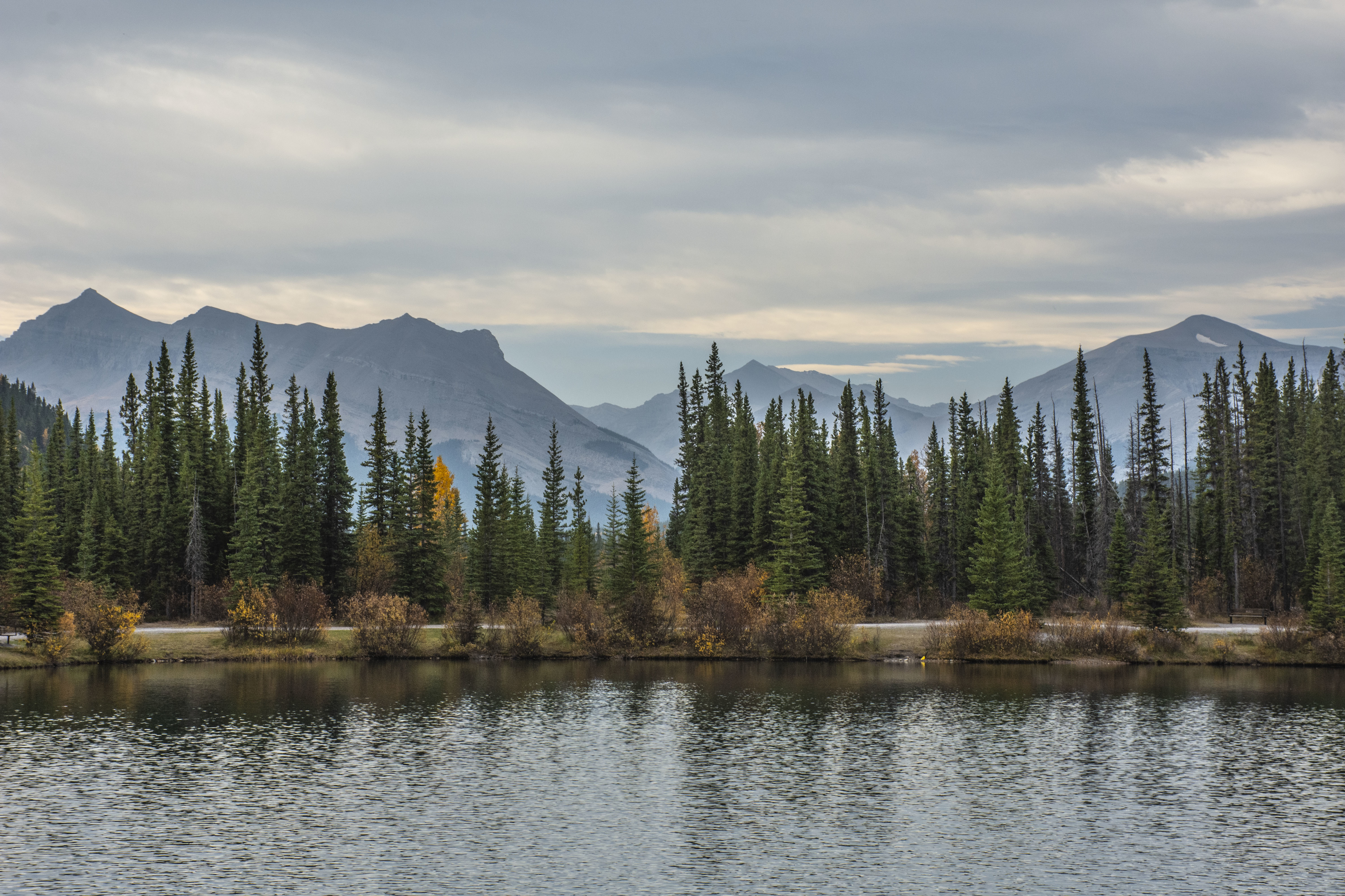 PCデスクトップに自然, 山脈, 湖, モミ, スプルース, 木, 秋画像を無料でダウンロード
