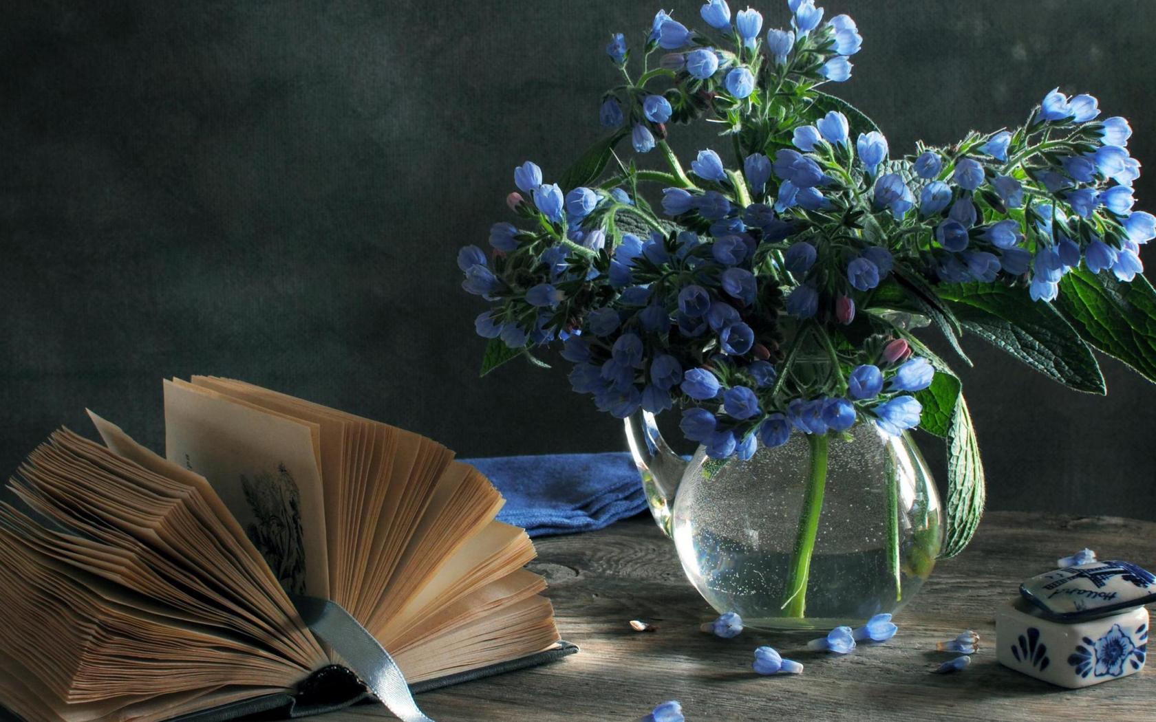 Download mobile wallpaper Still Life, Flower, Book, Photography for free.