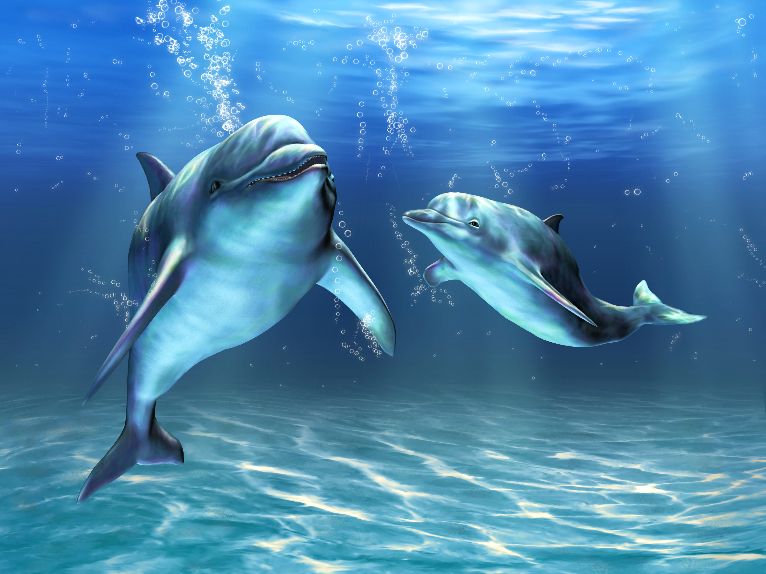 Скачать картинку Животные, Пузыри, Дельфин, Подводный в телефон бесплатно.