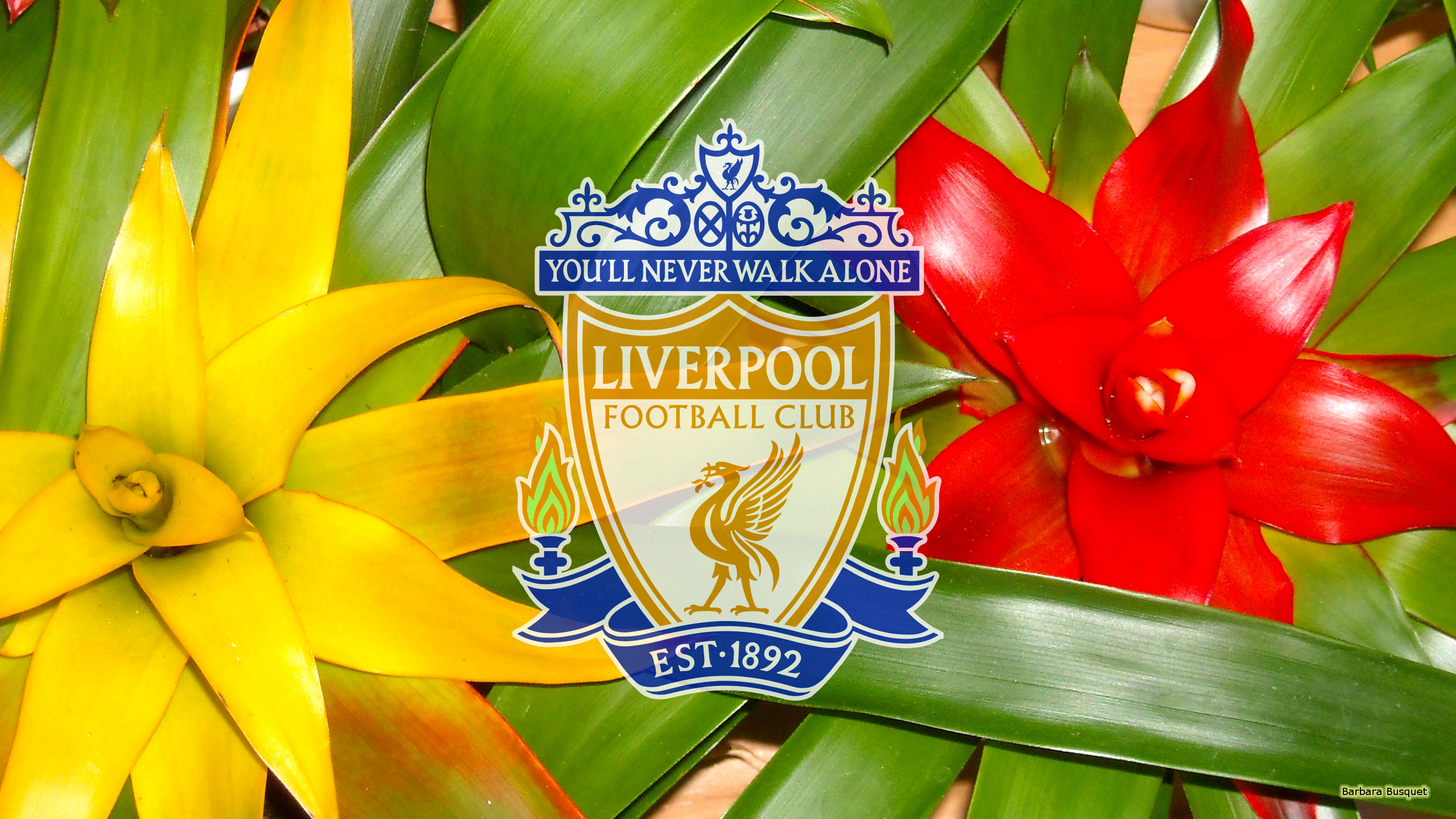 Free download wallpaper Sports, Logo, Emblem, Soccer, Liverpool F C on your PC desktop