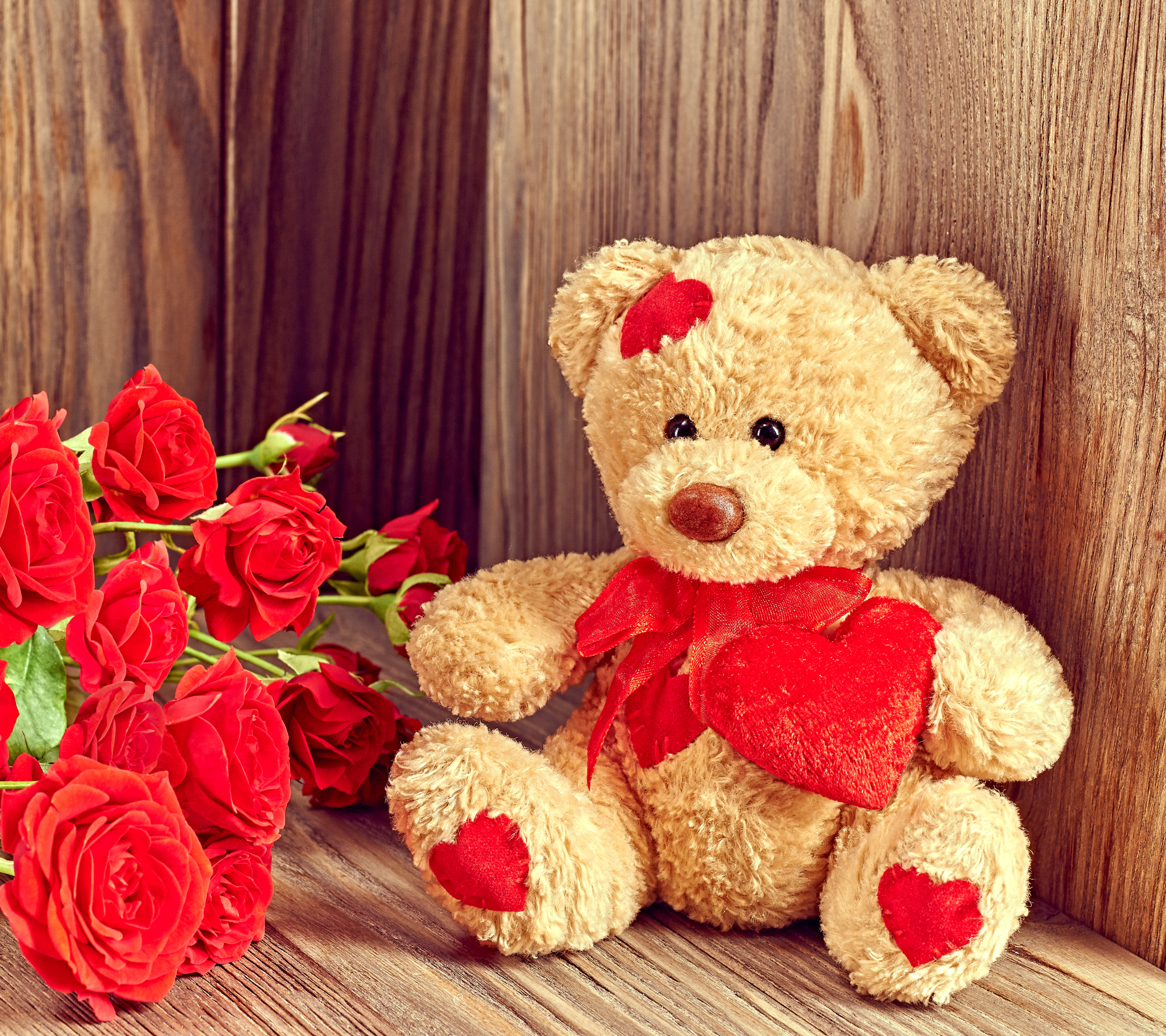 Скачати мобільні шпалери День Святого Валентина, Ведмедик Тедді, Квітка, Роза, Свято, Кохання, Червона Троянда безкоштовно.