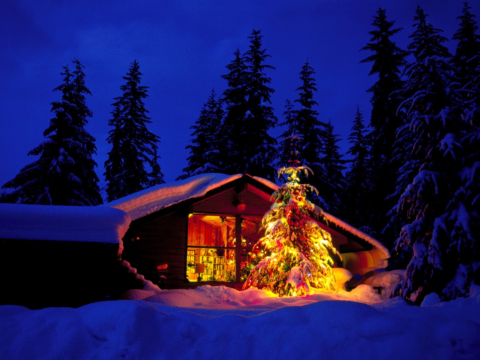 PCデスクトップにクリスマス, クリスマスツリー, ホリデー, クリスマスのあかり画像を無料でダウンロード