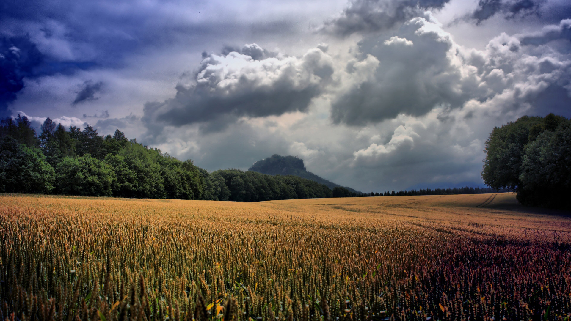 Téléchargez gratuitement l'image Paysage, Terre/nature sur le bureau de votre PC