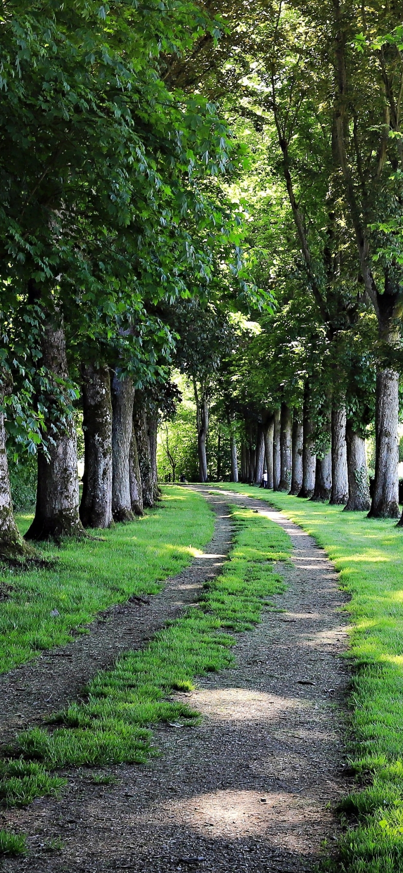 Baixar papel de parede para celular de Caminho, Terra/natureza gratuito.