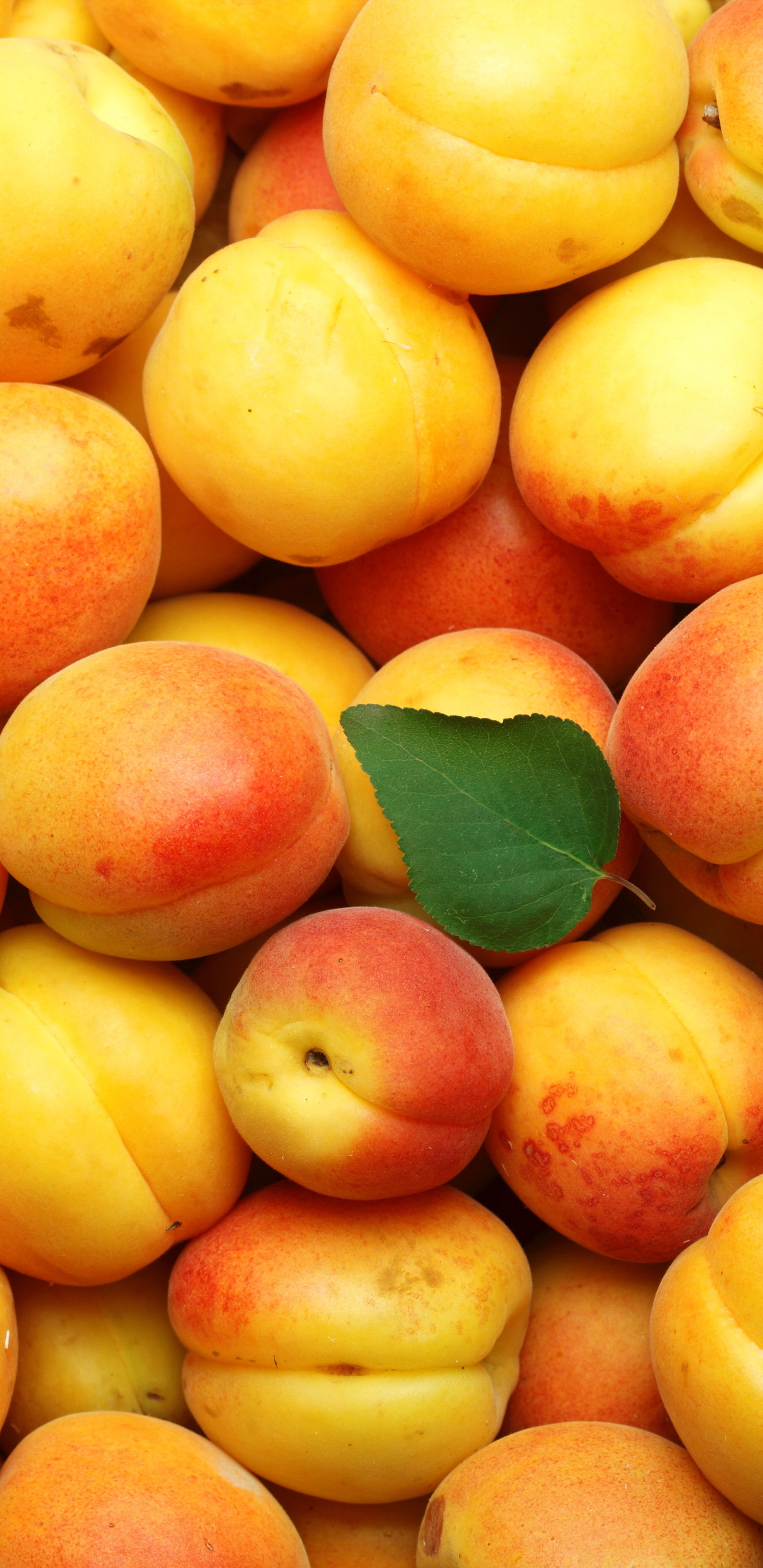 Download mobile wallpaper Food, Fruit, Apricot for free.