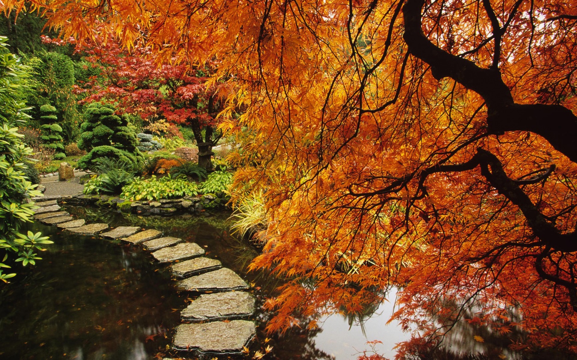 Download mobile wallpaper Tree, Fall, Path, Stone, Garden, Man Made, Japanese Garden for free.