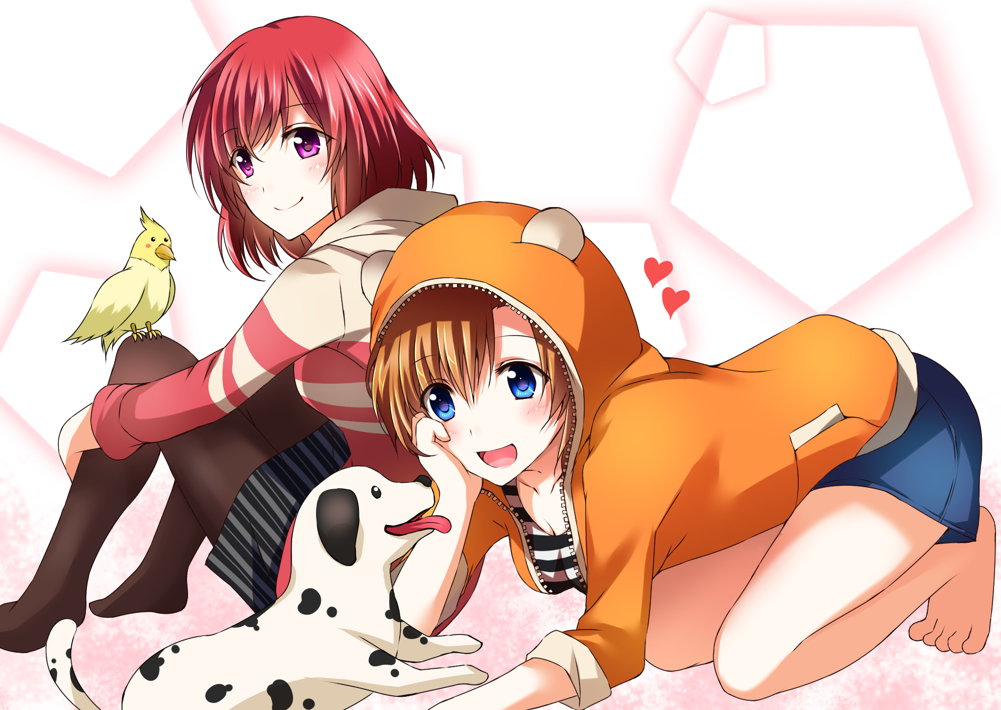 Laden Sie das Animes, Maki Nishikino, Honoka Kousaka, Liebesleben!-Bild kostenlos auf Ihren PC-Desktop herunter