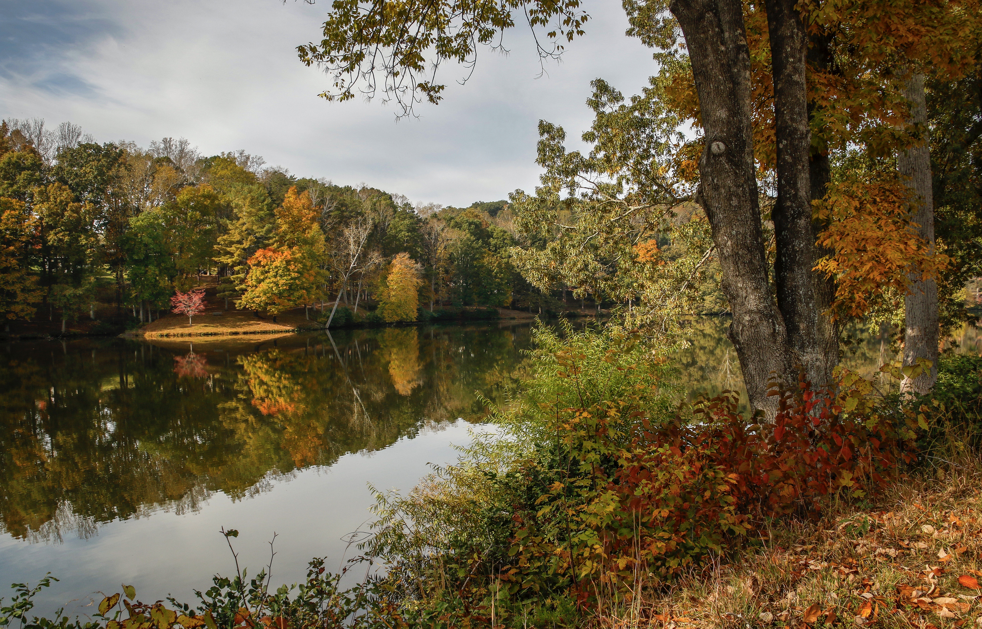 Laden Sie das Natur, Herbst, Baum, Fluss, Erde/natur, Spiegelung-Bild kostenlos auf Ihren PC-Desktop herunter