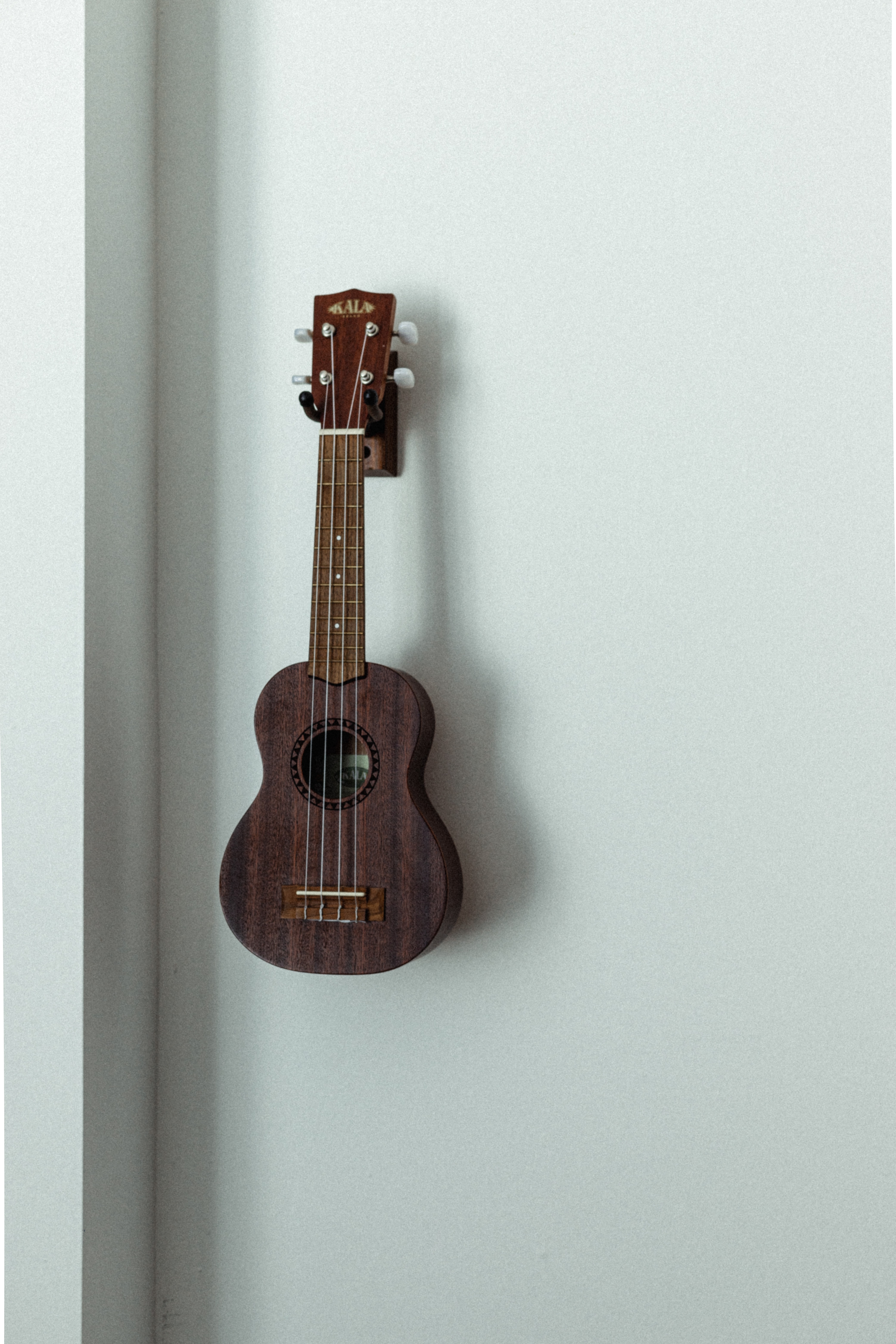 strings, musical instrument, wall, ukulele, music