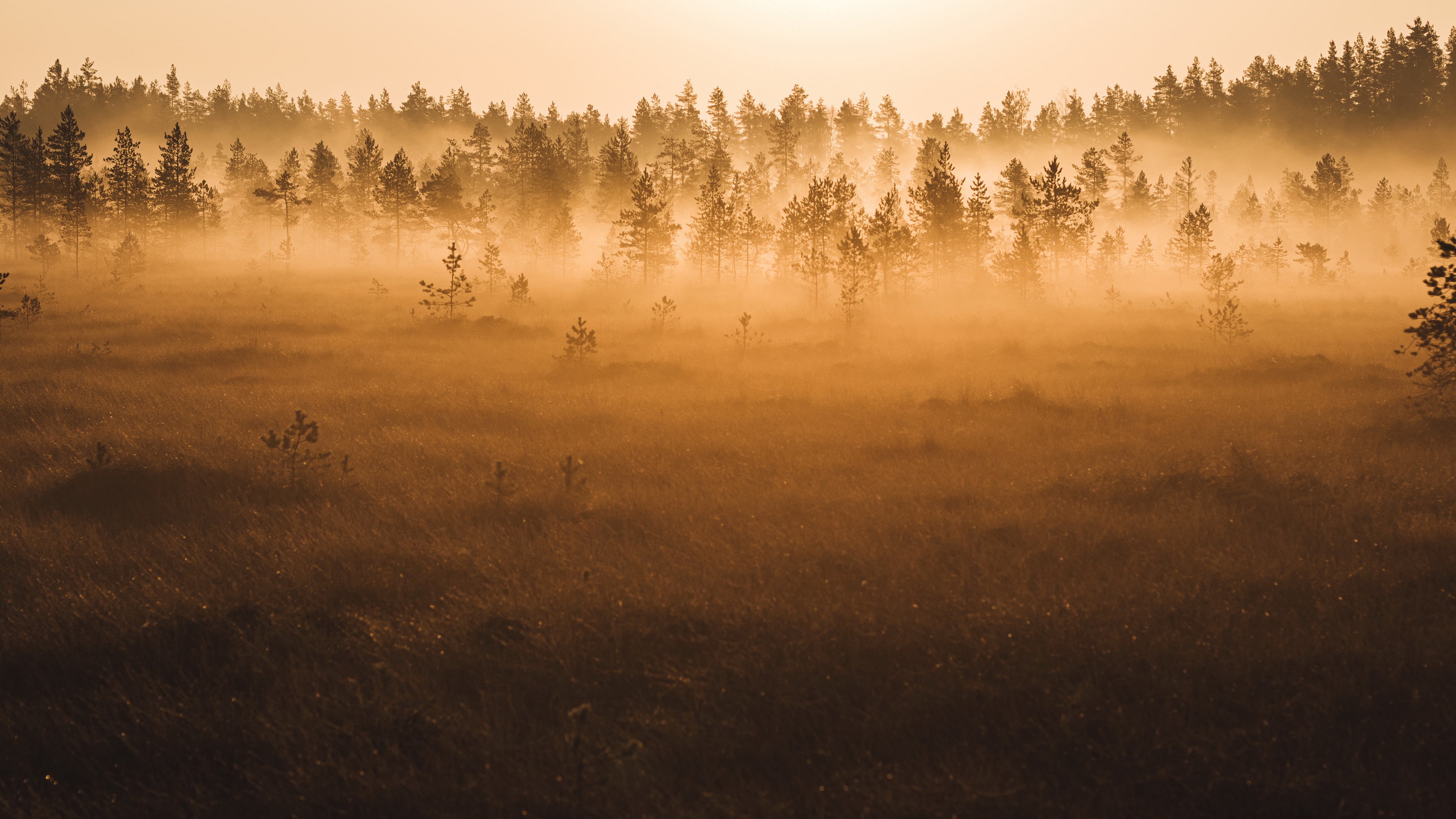 Free download wallpaper Nature, Fog, Earth on your PC desktop