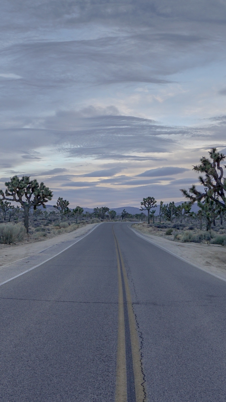 Скачать картинку Пустыня, Дорога, Калифорния, Шоссе, Национальный Парк Джошуа Три, Сделано Человеком в телефон бесплатно.