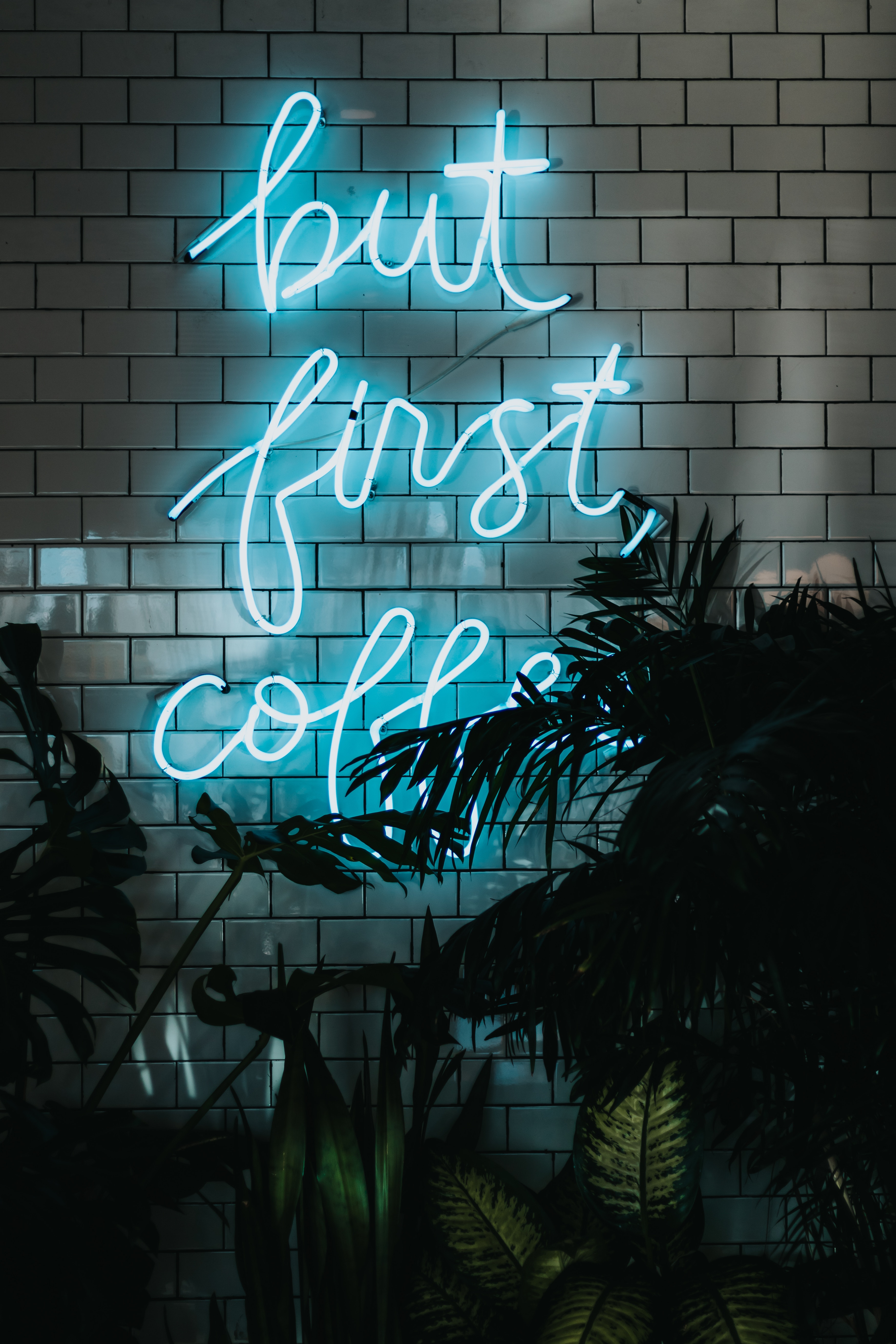 Download mobile wallpaper Illumination, Leaves, Backlight, Wall, Inscription, Words, Plants, Neon for free.