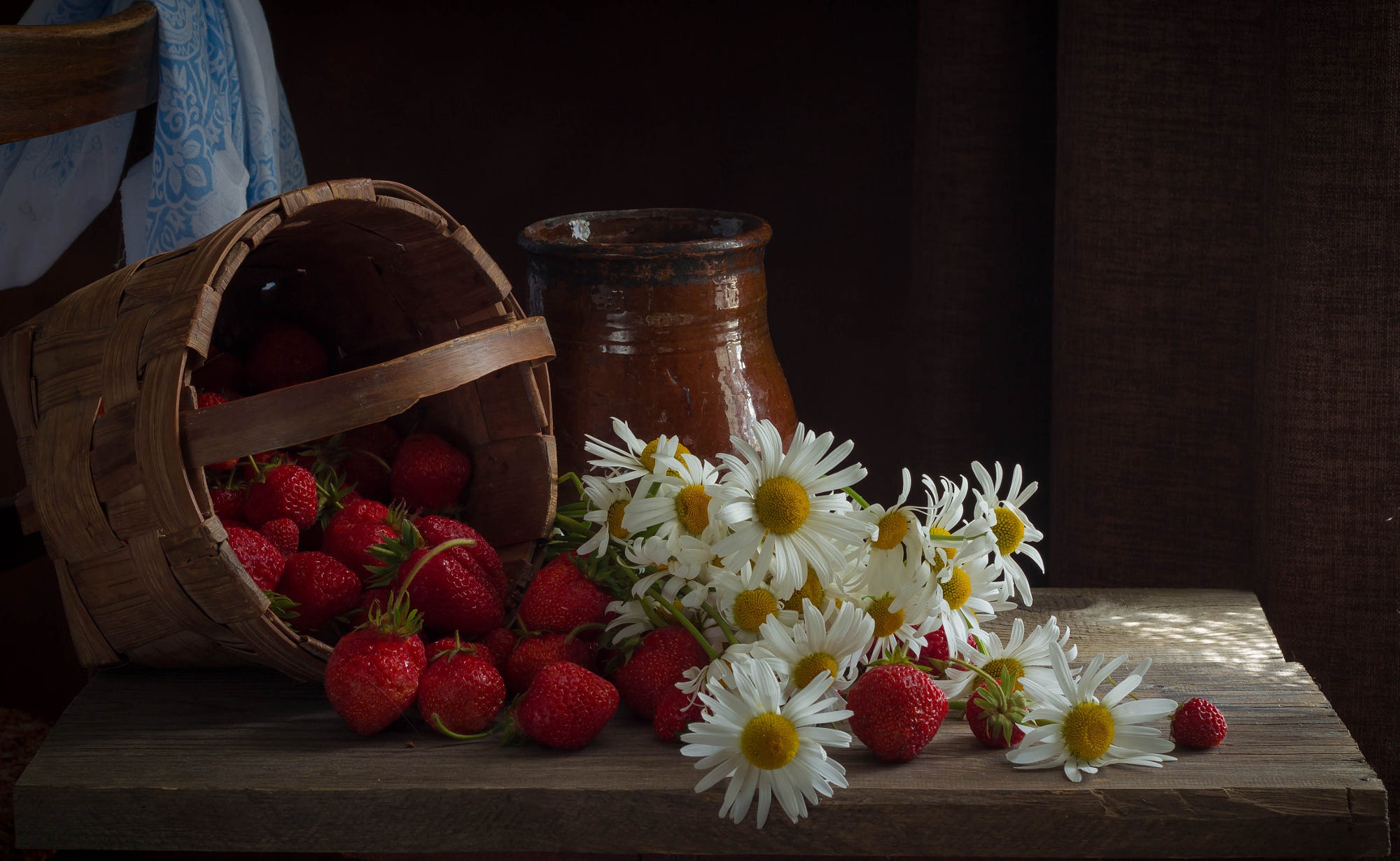 Download mobile wallpaper Strawberry, Still Life, Chamomile, Photography for free.
