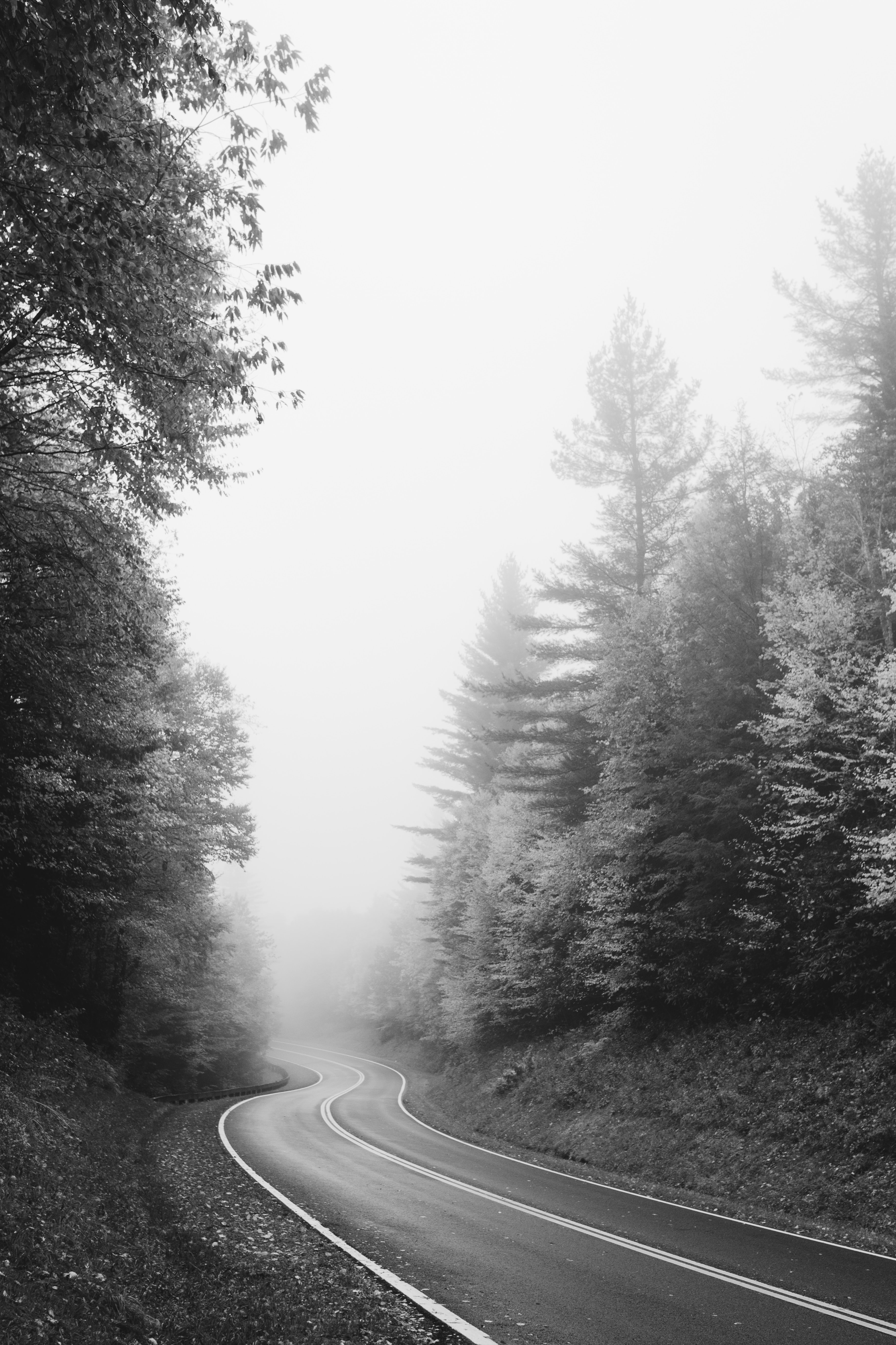Free download wallpaper Bw, Trees, Nature, Chb, Road, Fog on your PC desktop