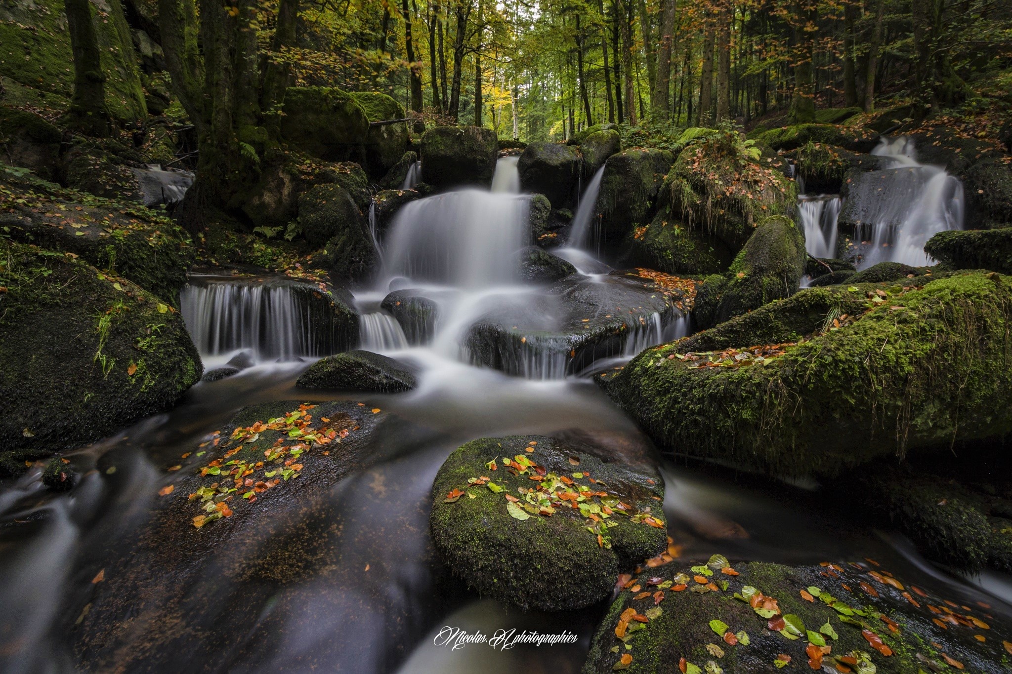 Free download wallpaper Waterfalls, Waterfall, Forest, Leaf, Earth, Greenery on your PC desktop