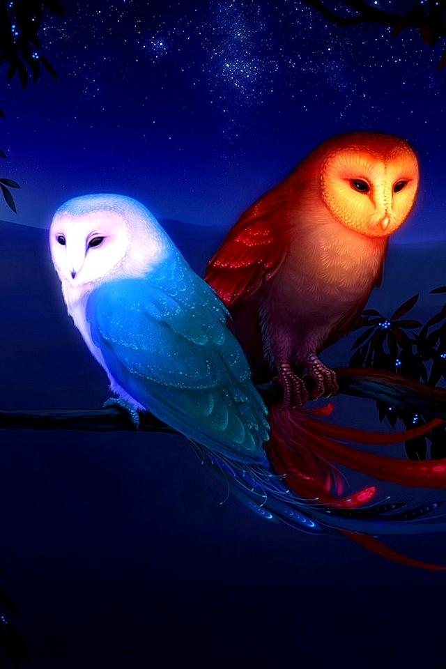 Download mobile wallpaper Owl, Birds, Animal for free.