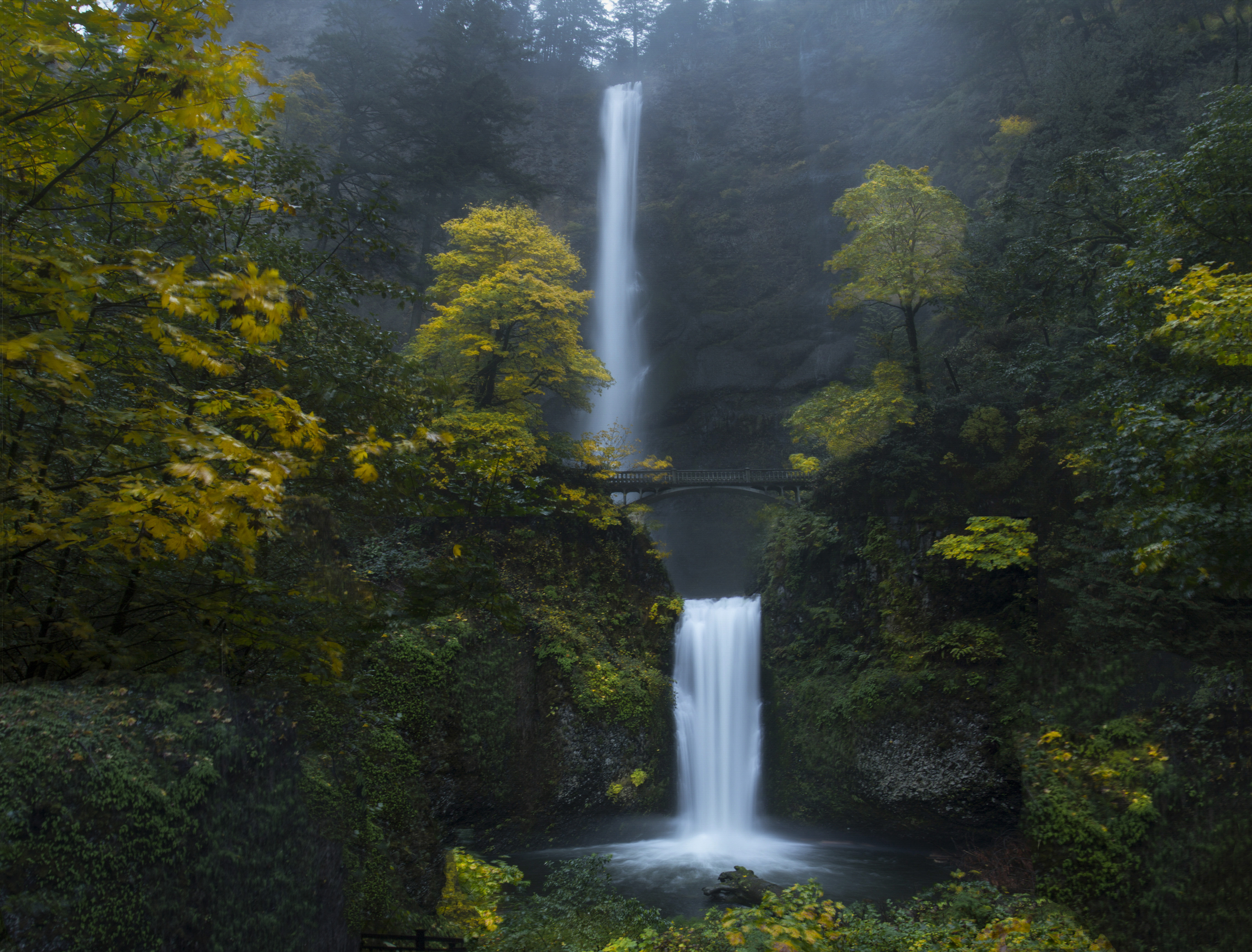 Laden Sie das Natur, Wasser, Bäume, Felsen, Rock, Brücke, Wasserfall-Bild kostenlos auf Ihren PC-Desktop herunter