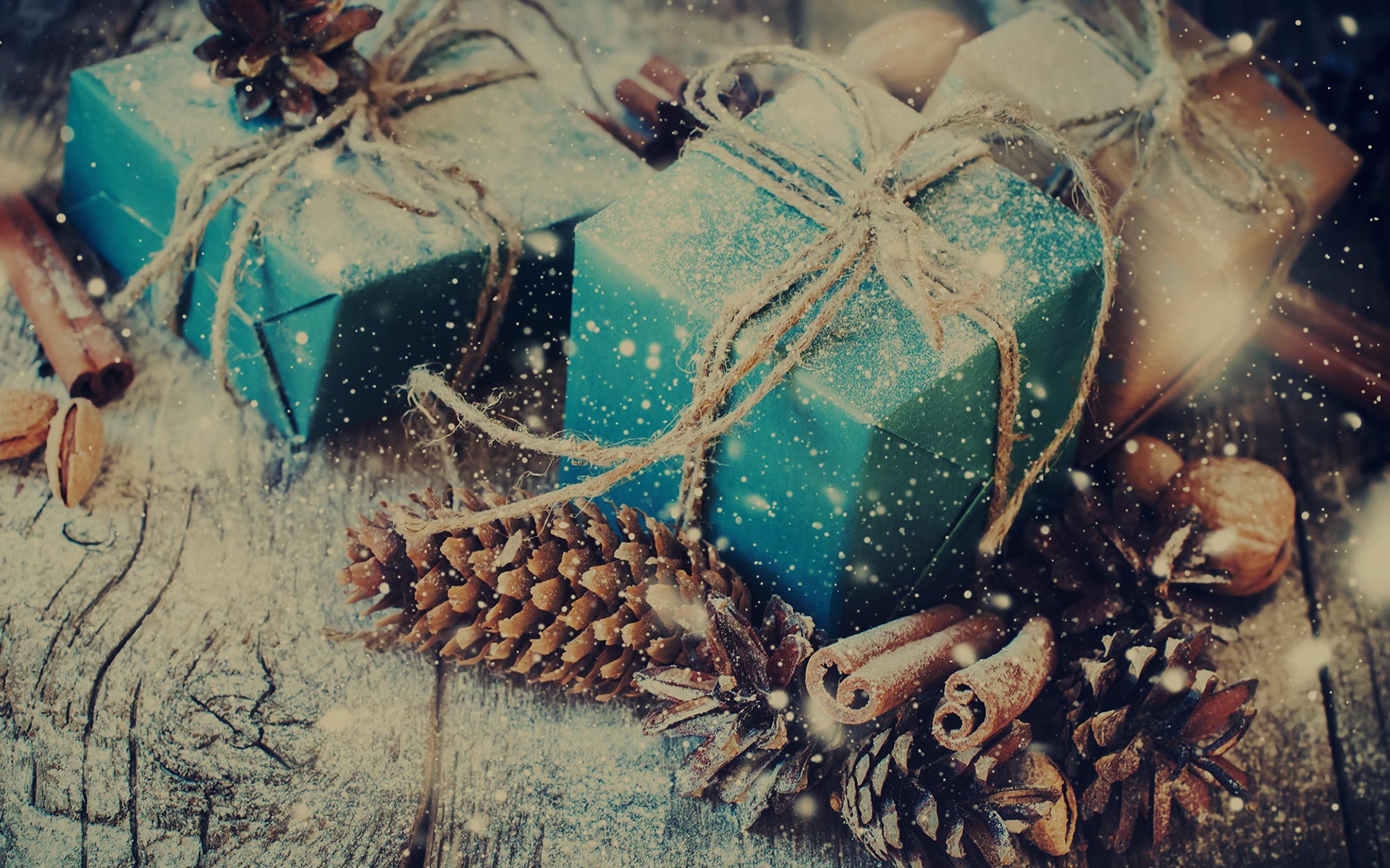 Download mobile wallpaper Cinnamon, Gift, Misc, Pine Cone for free.
