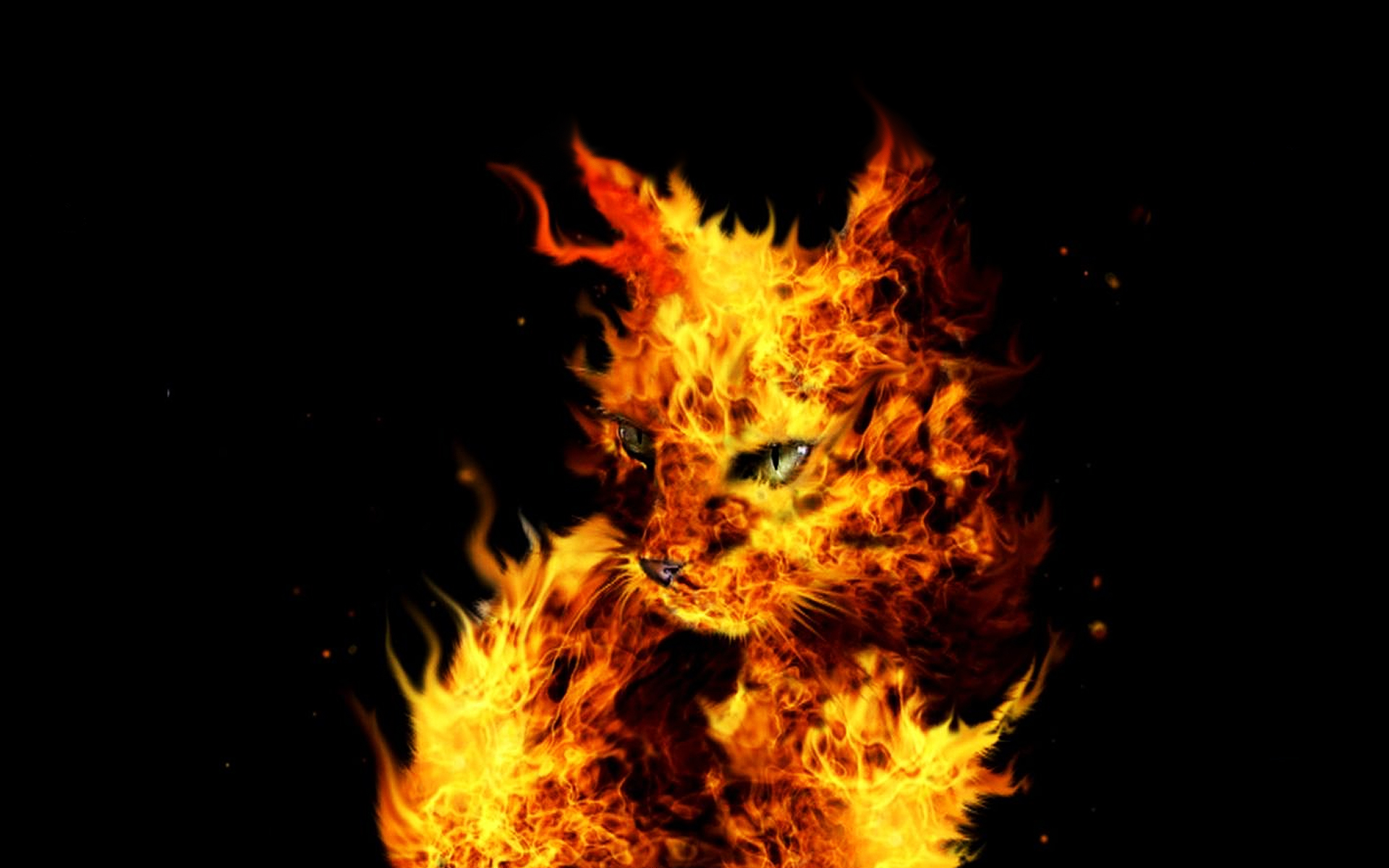 Free download wallpaper Flame, Cat, Animal, Artistic on your PC desktop