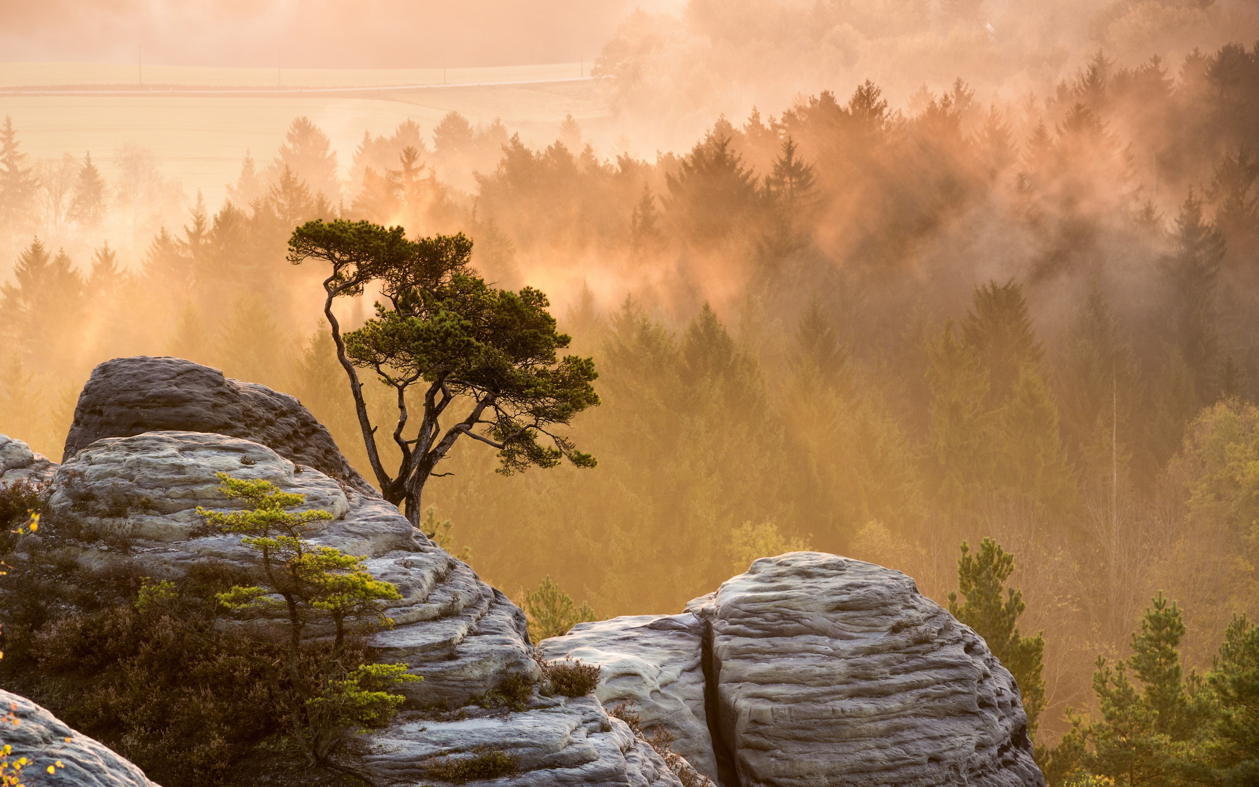 Handy-Wallpaper Landschaft, Erde/natur kostenlos herunterladen.